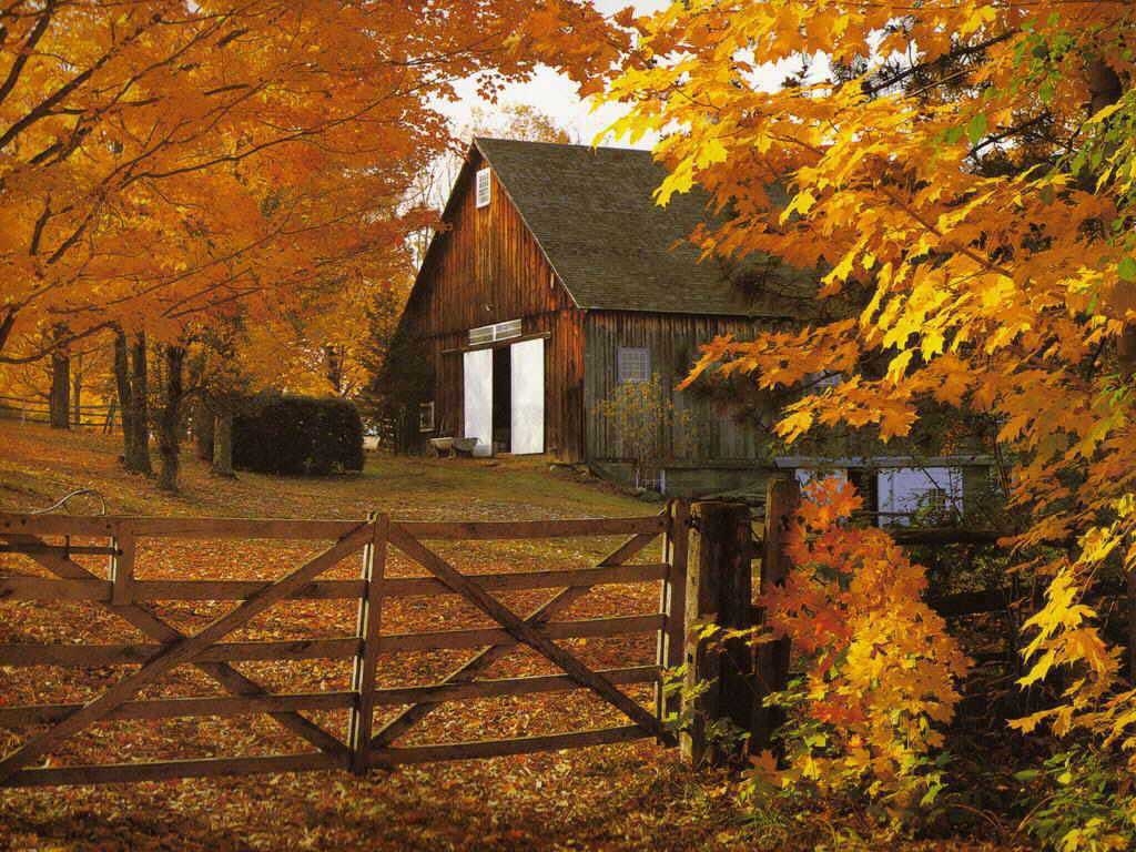1030x770 Free download Autumn Lights Picture Autumn Harvest Wallpaper, Desktop