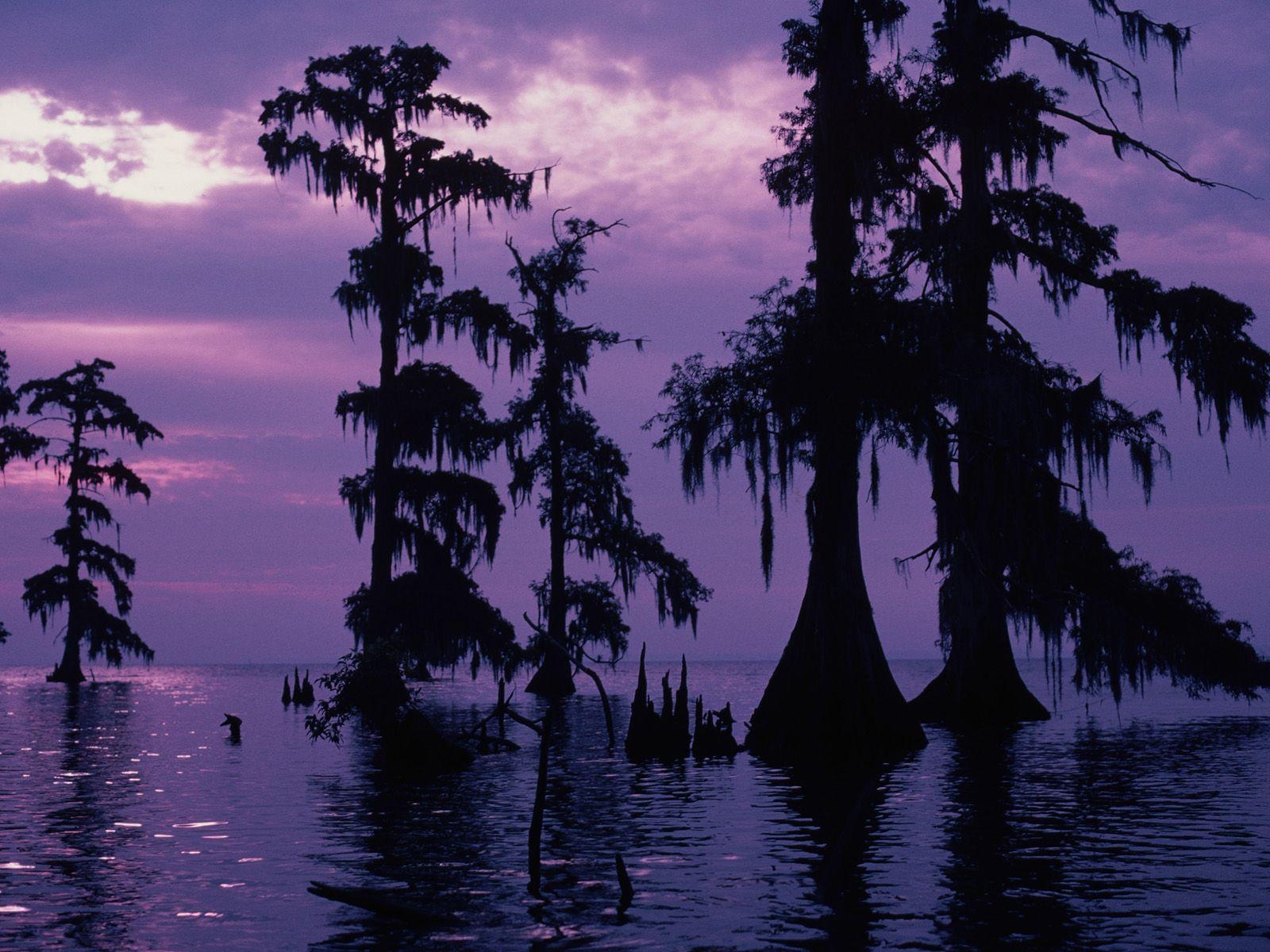 1600x1200 Louisiana Bayou Wallpaper, Desktop