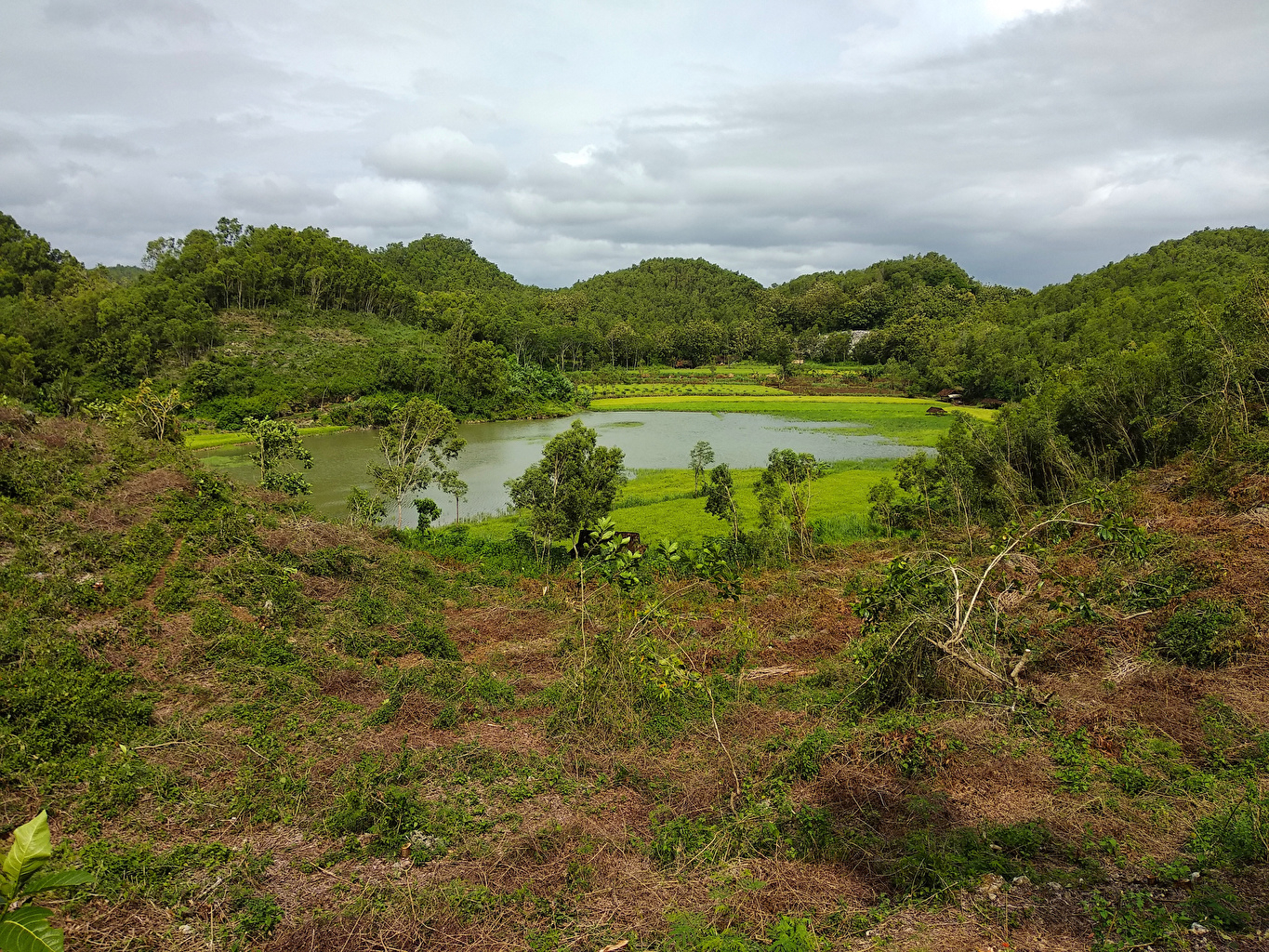 1370x1030 Photo Indonesia Yogyakarta Nature Lake Forests Tropics, Desktop