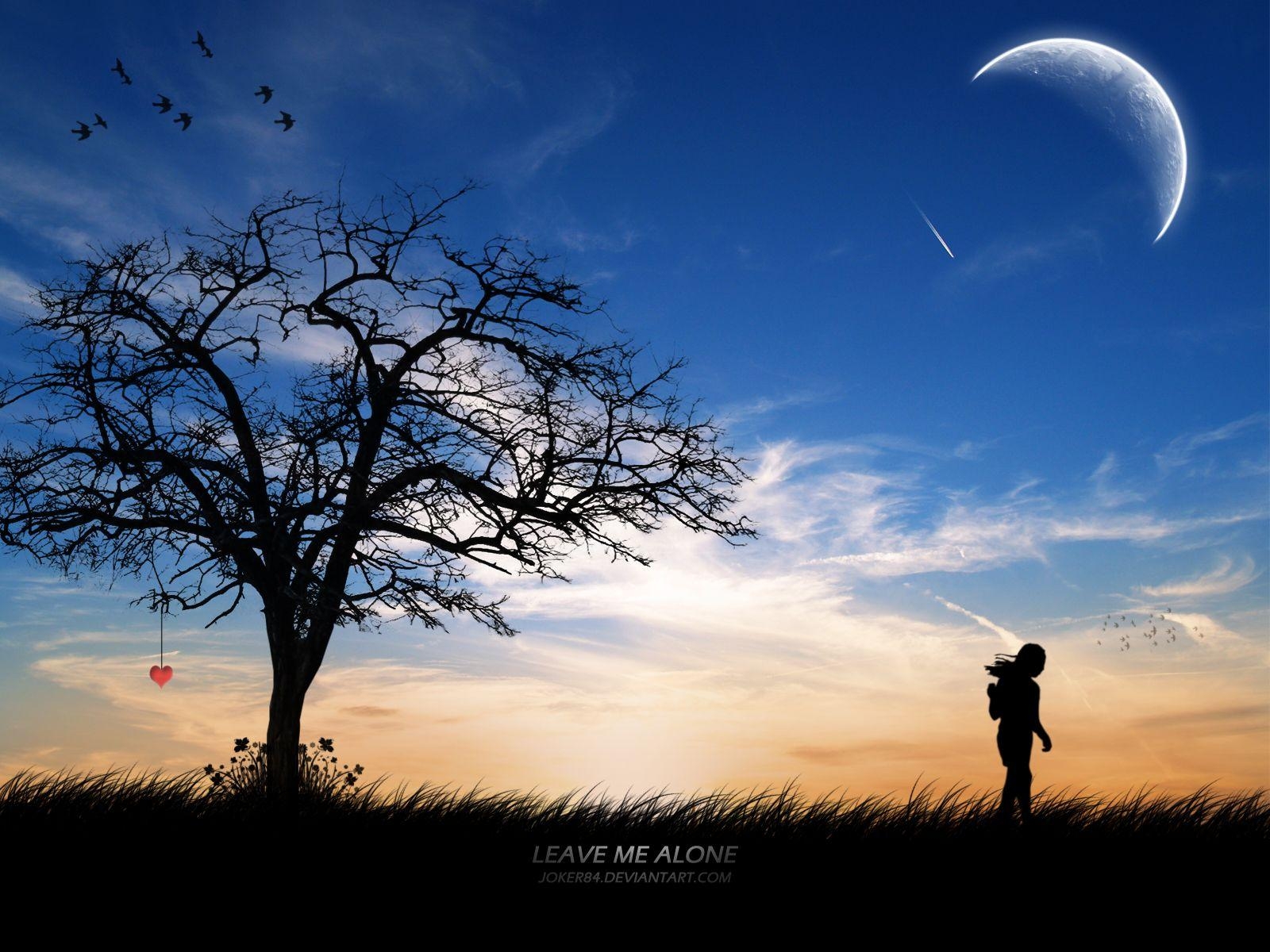 1600x1200 Beautiful Wallpaper: Alone wallpaper, Desktop