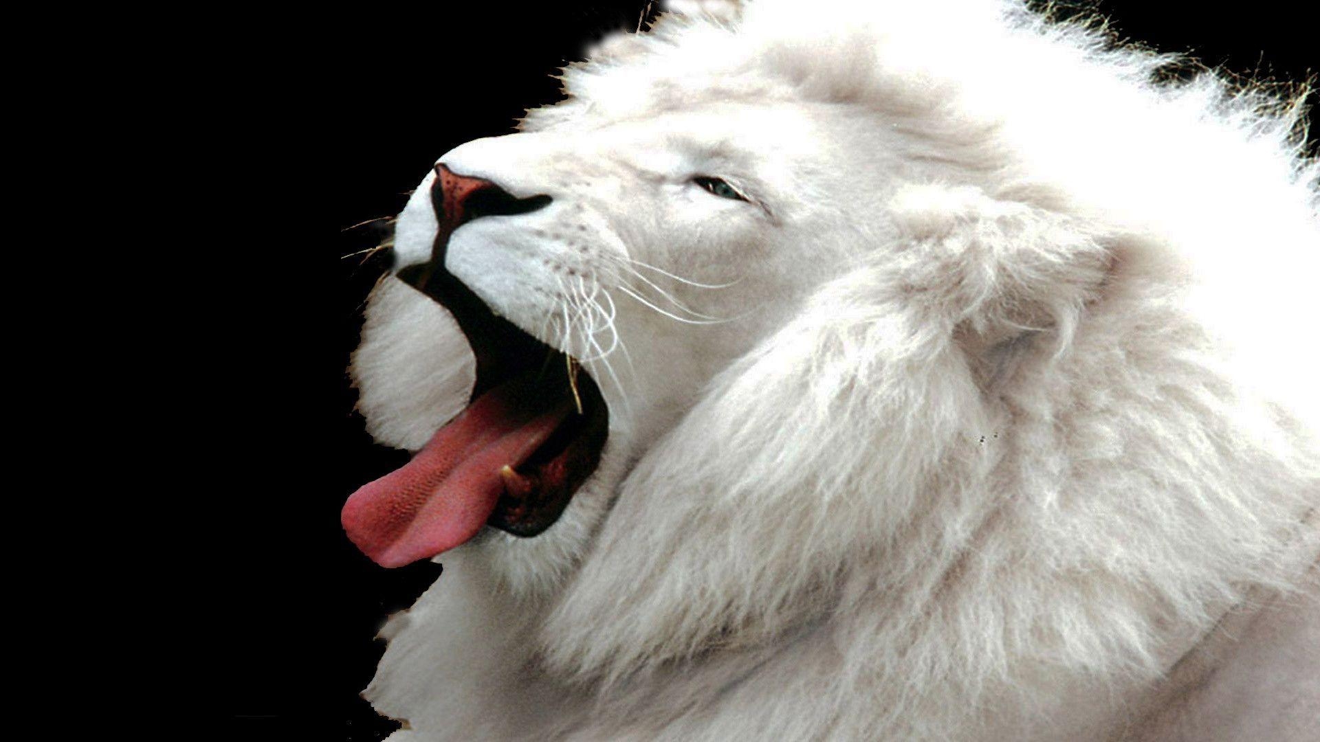 1920x1080 Mac White Lion Wallpaper, Desktop