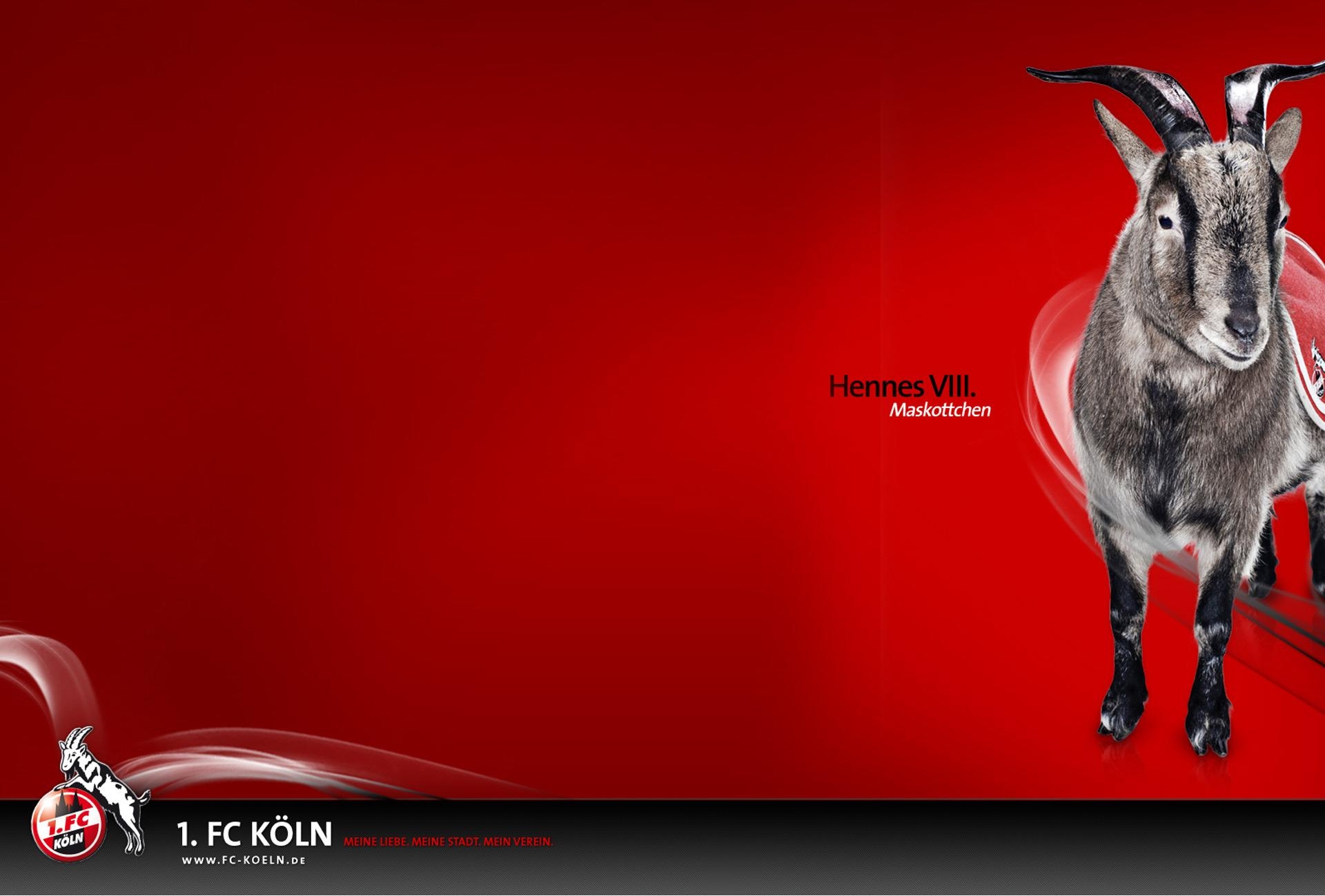 1920x1300 Beautiful FC KÃ¶ln Wallpaper. Full HD Picture, Desktop