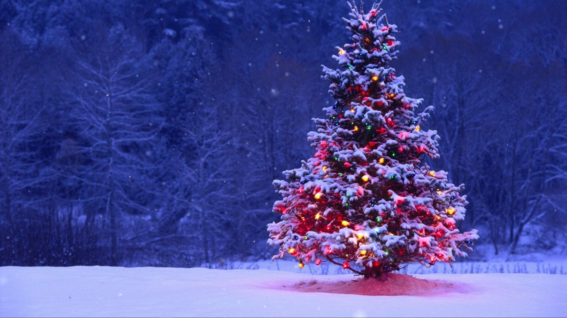 1920x1080 Christmas tree near the forest live wallpaper [DOWNLOAD FREE], Desktop