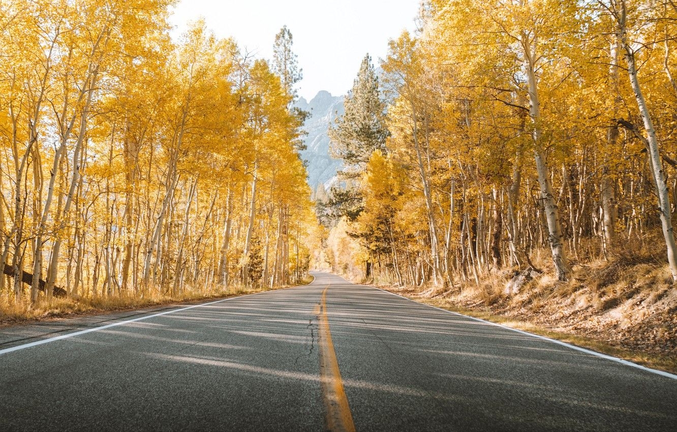 1340x850 Wallpaper road, trees, yellow, autumn, mountains, leaves, landscapes, asphalt, sunlight, 4k ultra HD background image for desktop, section пейзажи, Desktop