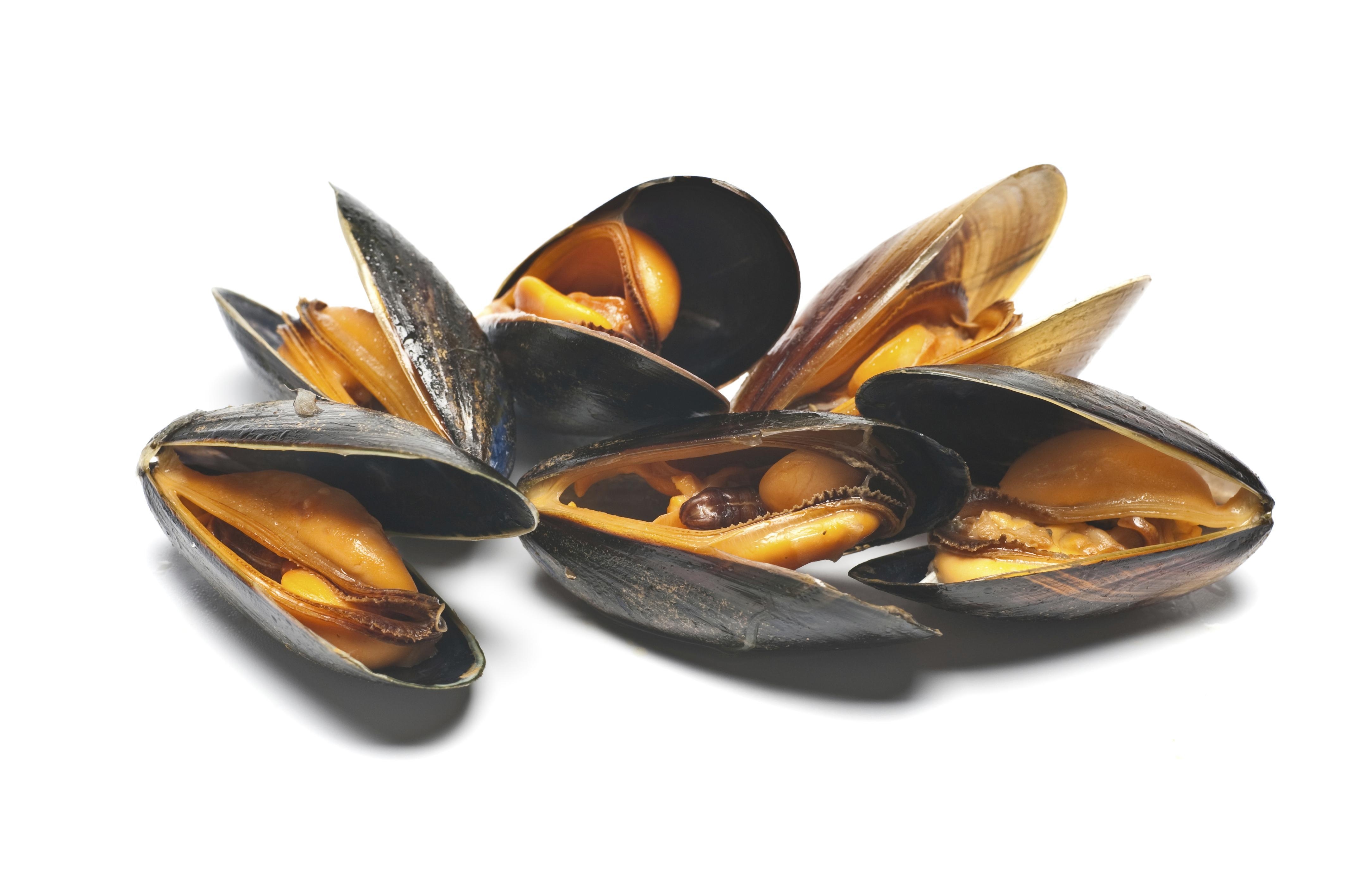 4260x2840 Mussels wallpaper, Food, HQ Mussels pictureK, Desktop