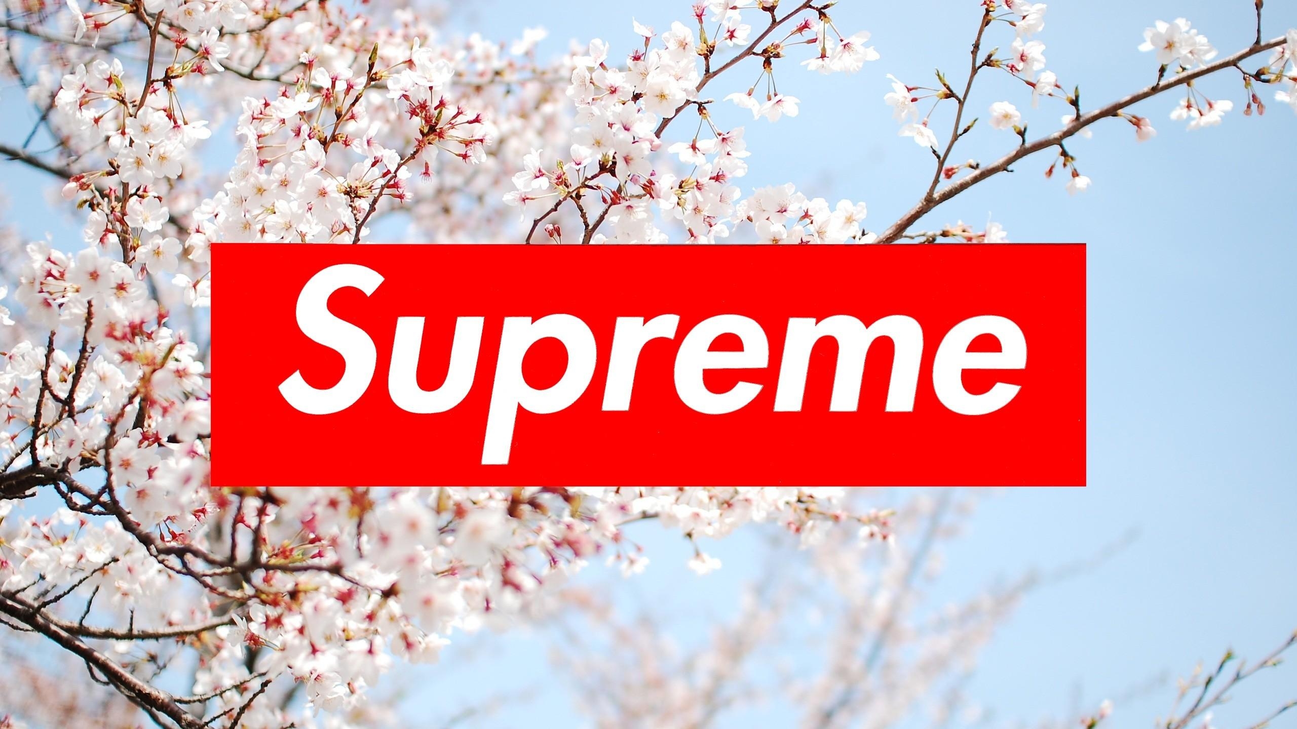 2560x1440 Supreme Wallpaper, Desktop