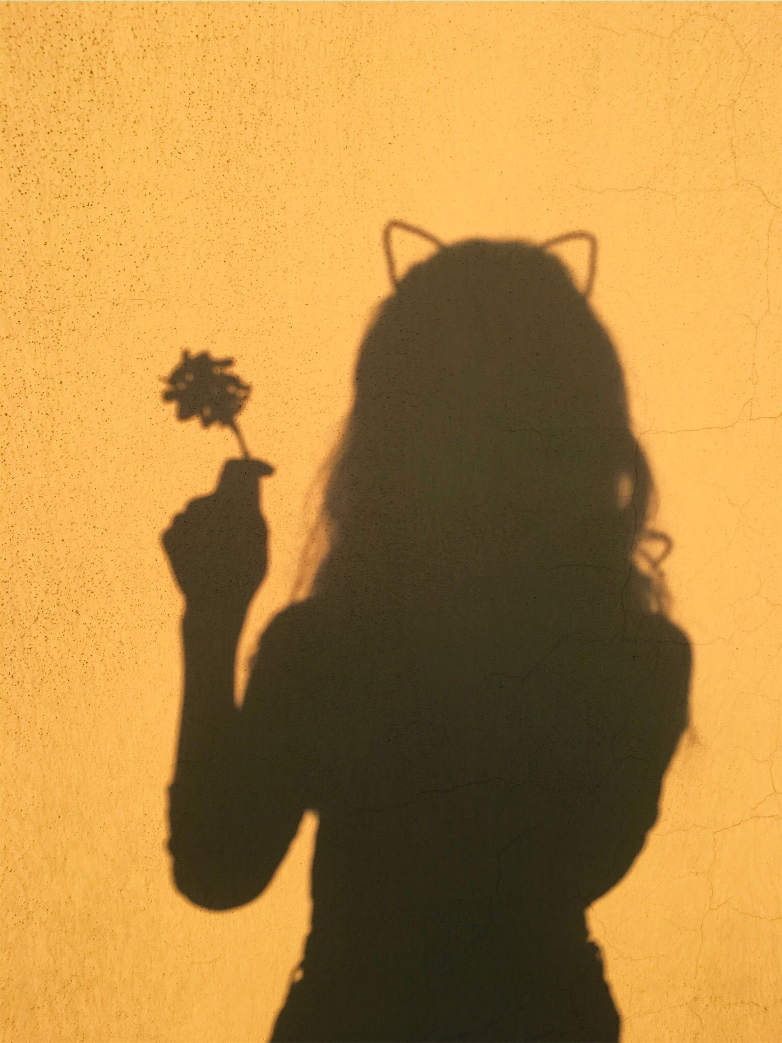 1540x2050 Awesome Vsco Girls Wallpaper Shadow. Yellow aesthetic, Shadow picture, Shadow photography, Phone