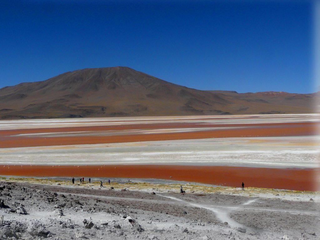 1030x770 Llamas in steaming Laguna Colorada, Bolivia, Desktop