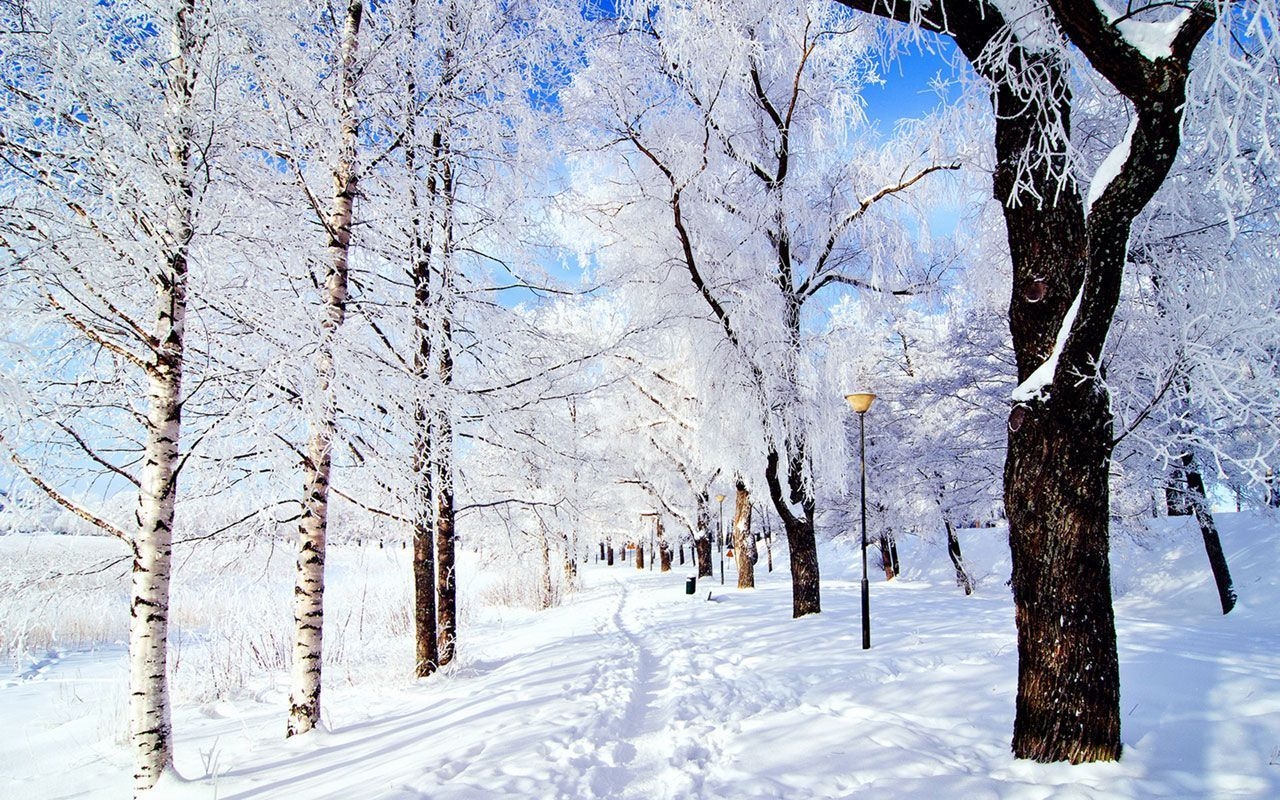 1280x800 Cute Winter Aesthetic Wallpaper Desktop, Desktop