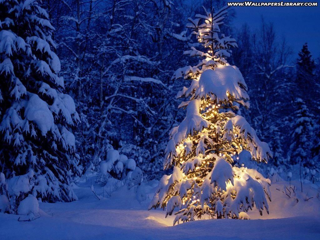 1030x770 Xmas Stuff For > Christmas Background Snow, Desktop