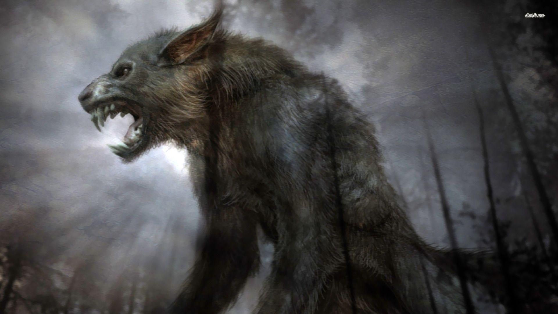 1920x1080 Animals For > Werewolf Wallpaper, Desktop