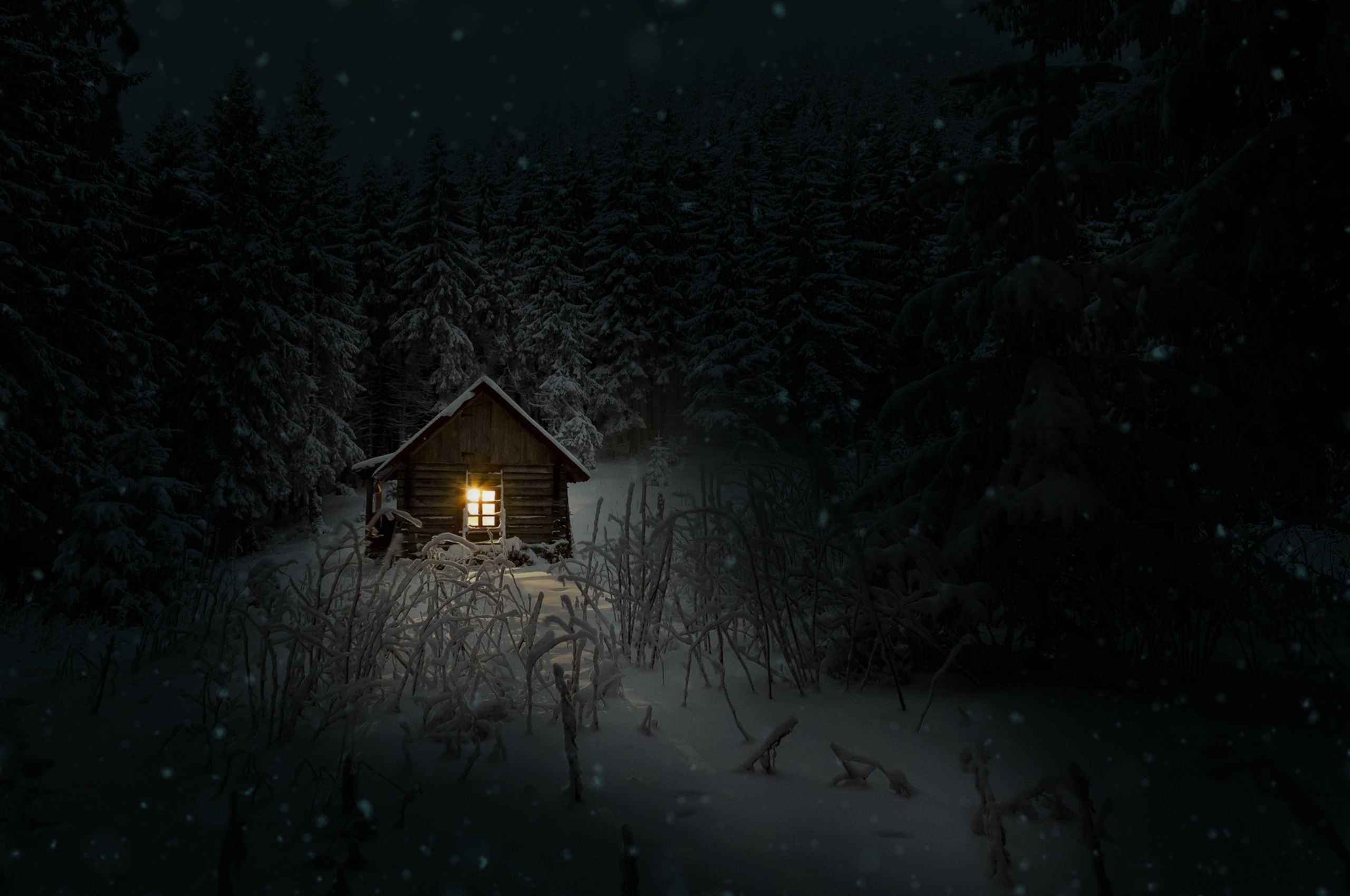 2560x1700 House In Woods Winter Cold Chromebook Pixel HD 4k Wallpaper, Image, Background, Photo and Picture, Desktop