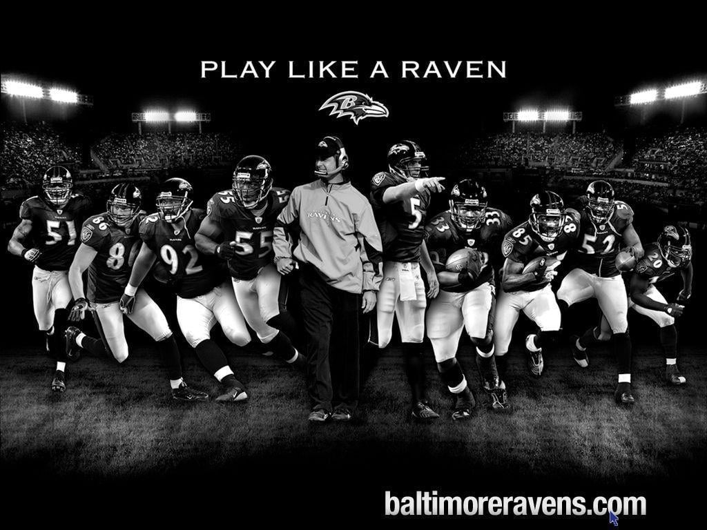 1030x770 image about Baltimore Ravens Football, Desktop