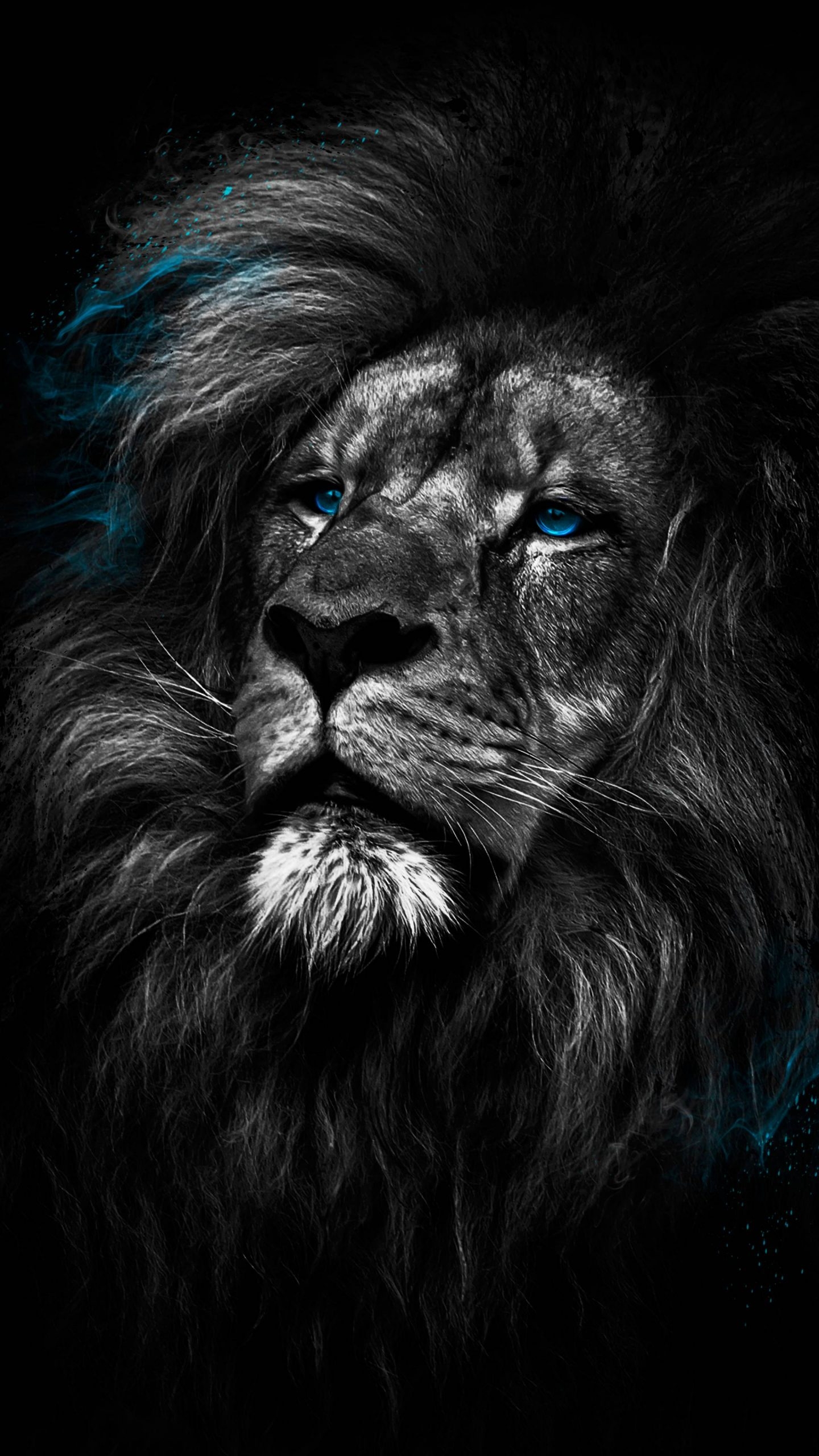 1440x2560 Lion Dark 4K Amoled Android Black Wallpaper, Phone