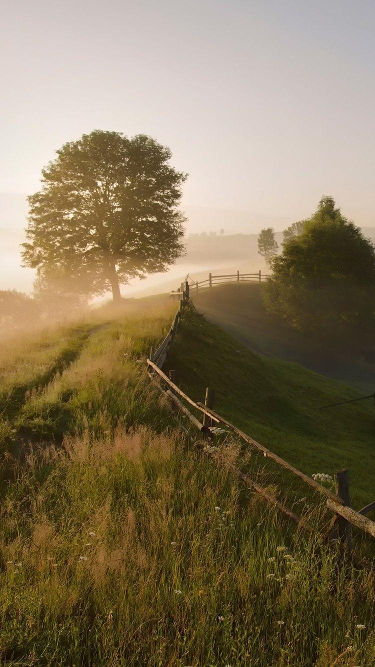 750x1340 England Countryside iPhone Wallpaper Free England Countryside iPhone Background, Phone