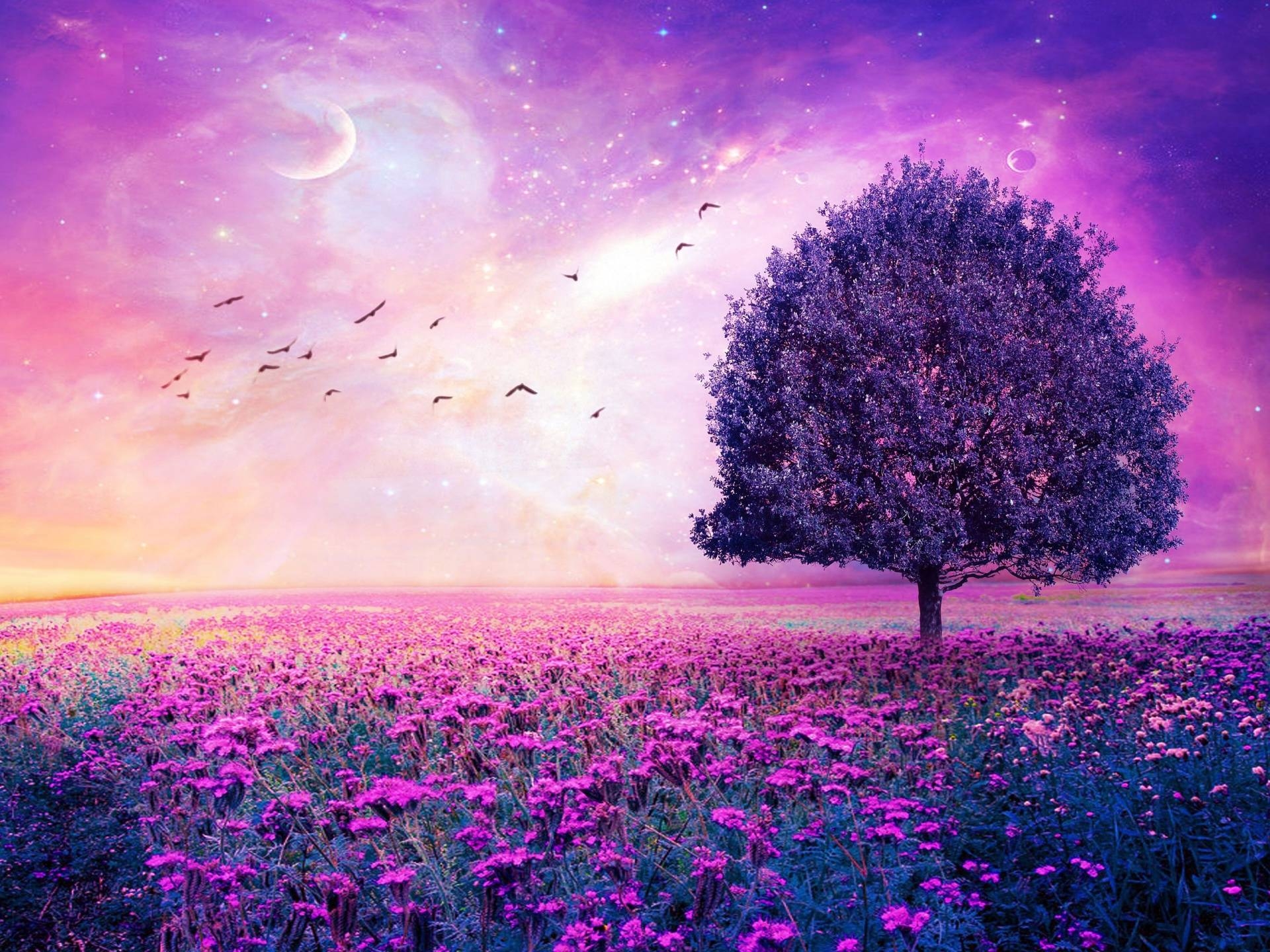 1920x1440 Purple Flowers Field Art Tree HD Wallpaper Definition, Desktop