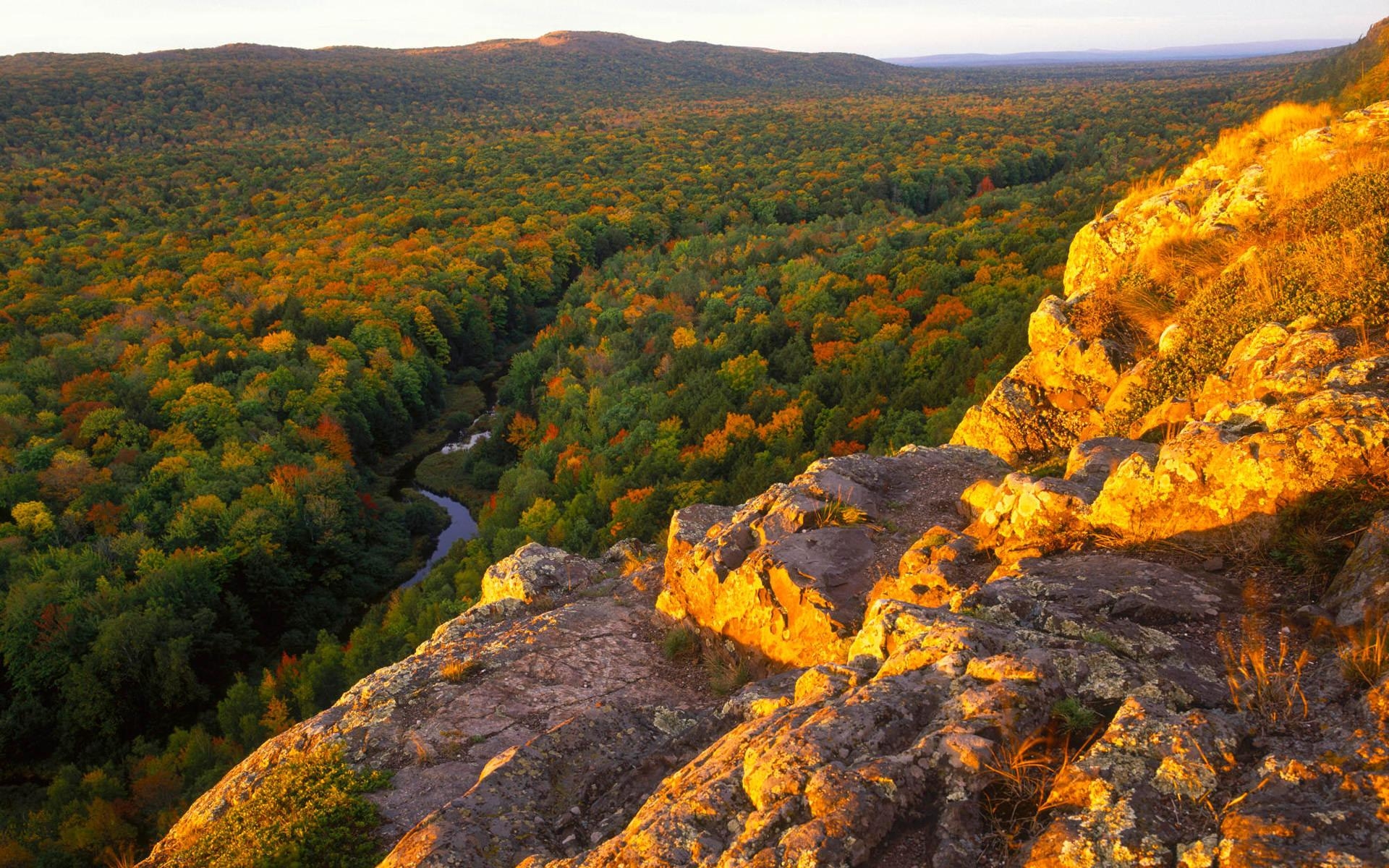 1920x1200 Autumn, hill, wallpaper, nature, background, Desktop