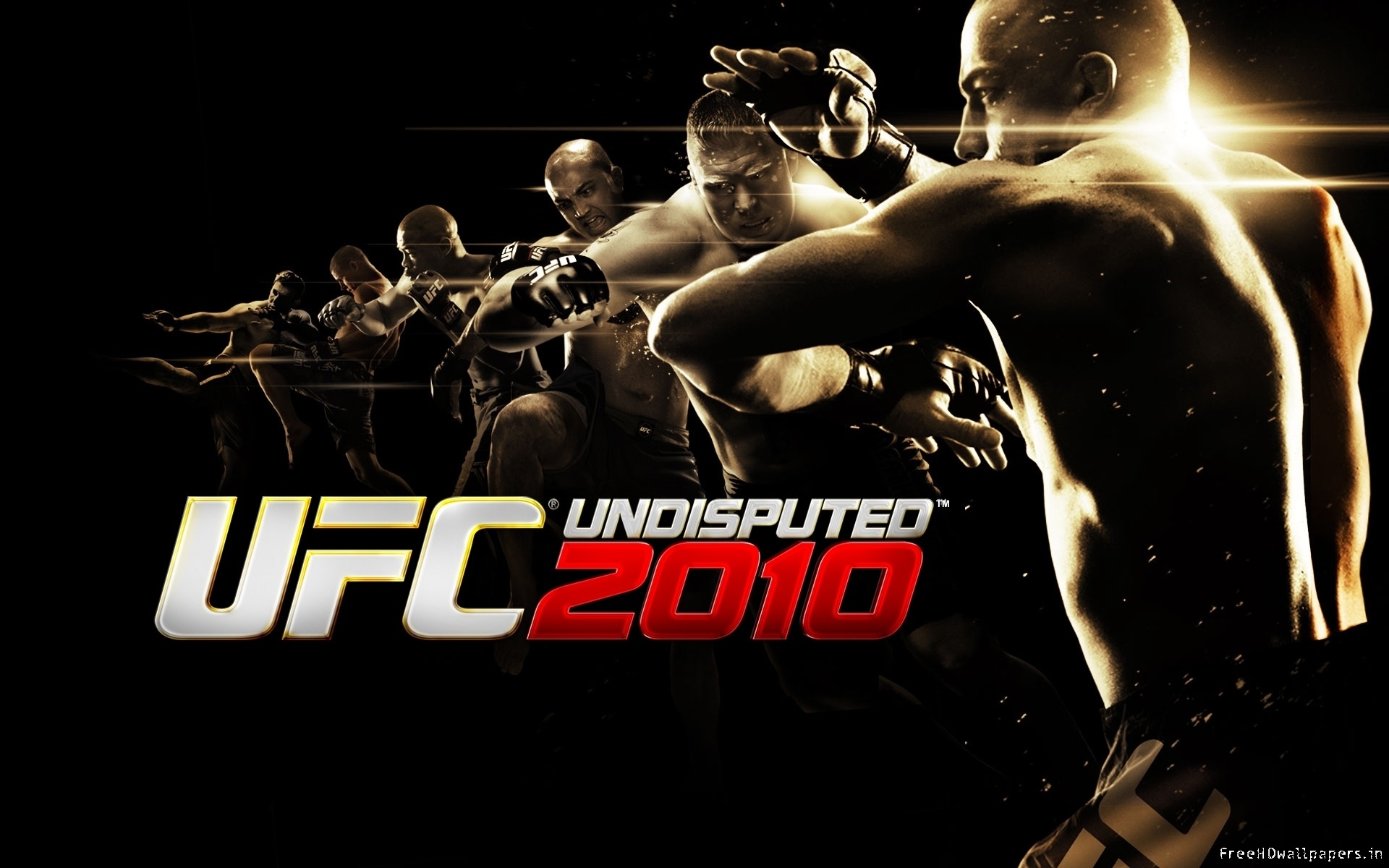 1920x1200 UFC Wallpaper HD 17051, Desktop