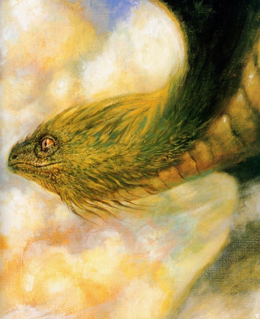 890x1080 Quetzalcoatl Eggleton Wallpaper Image, Phone