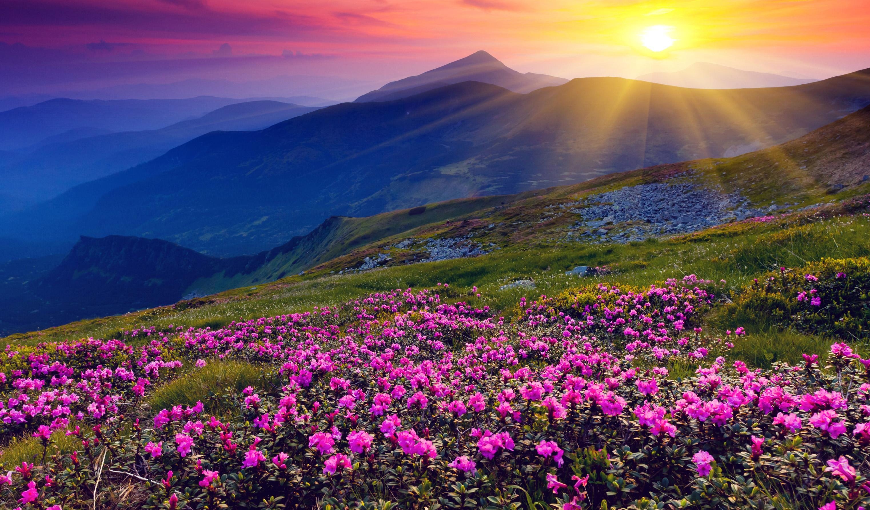 3050x1790 Beautiful Spring Wallpaper 4K for Android, Desktop