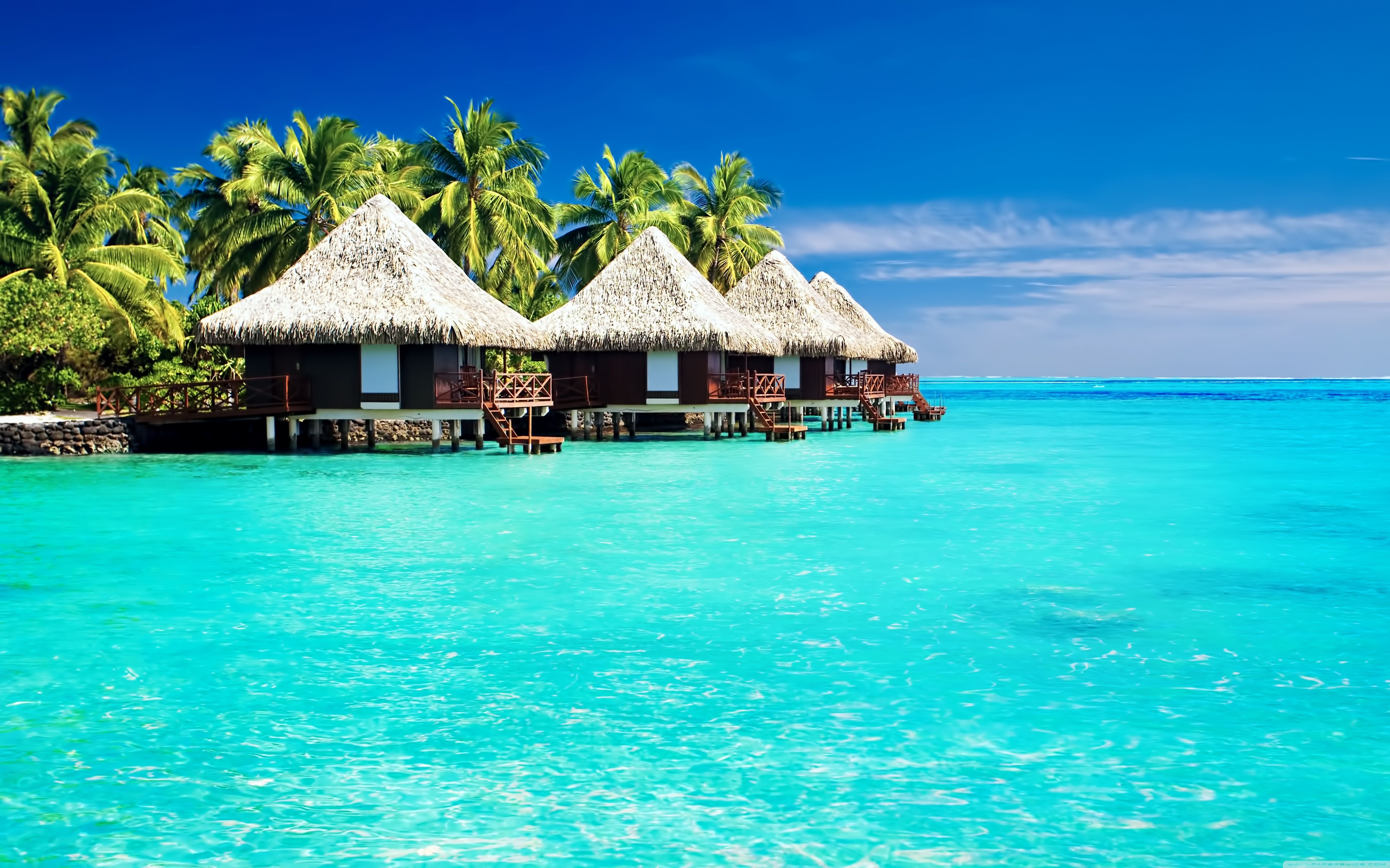 5120x3200 Tropical Bungalows ❤ 4K HD Desktop Wallpaper for 4K Ultra HD TV, Desktop