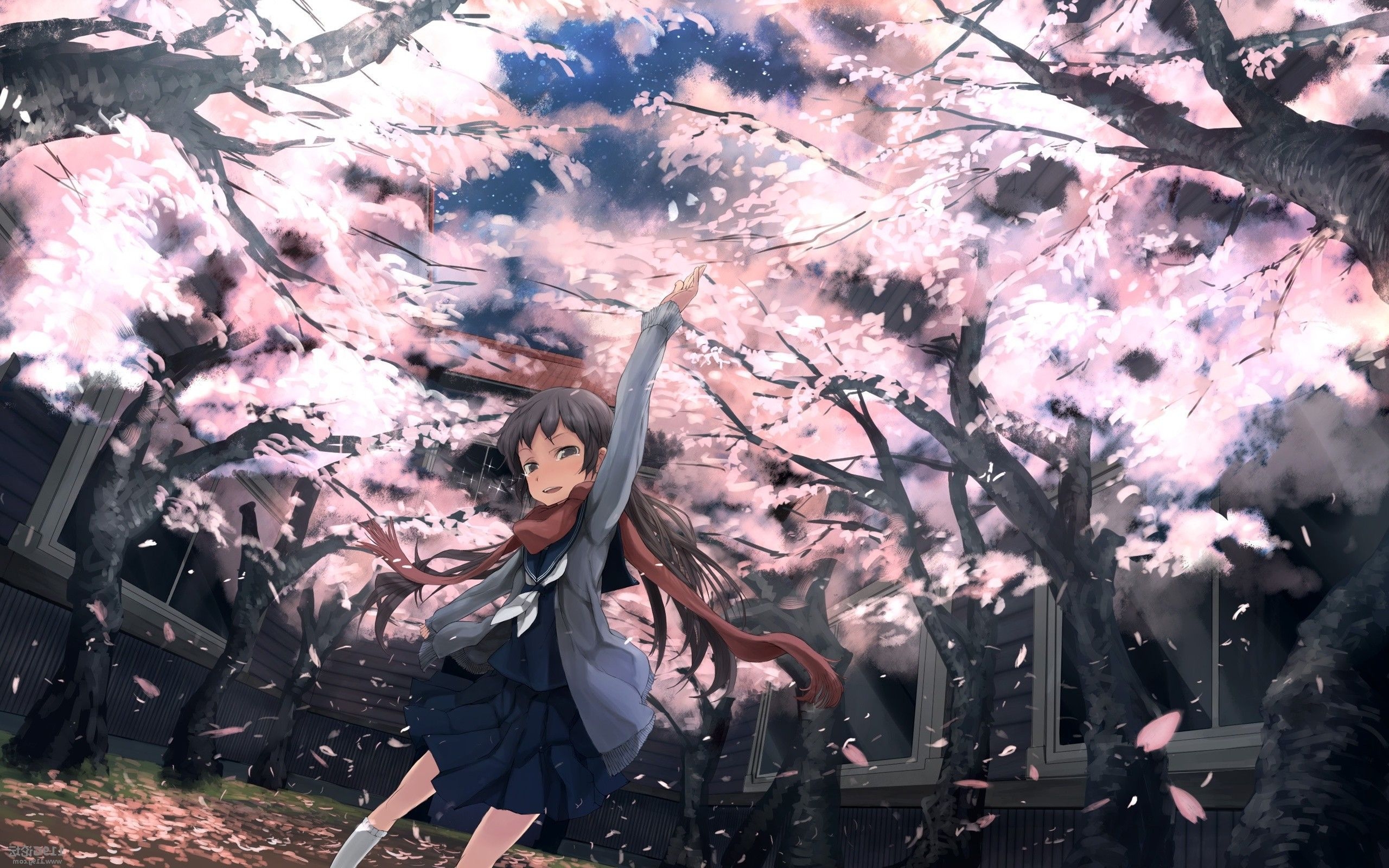 2560x1600 Spring Anime Wallpaper Girl In Spring, HD Wallpaper, Desktop