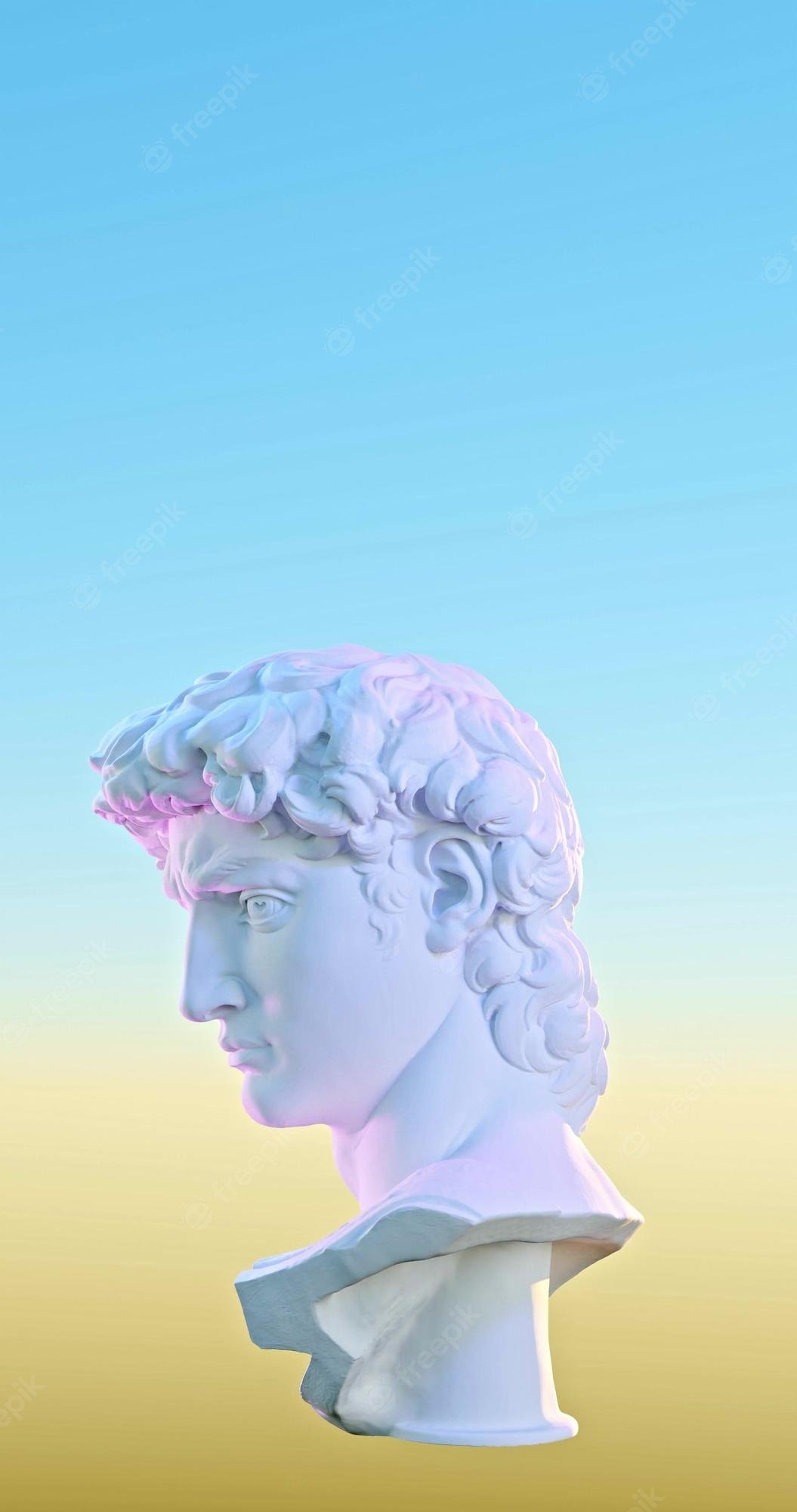 1060x2000 Michelangelo David Image, Phone