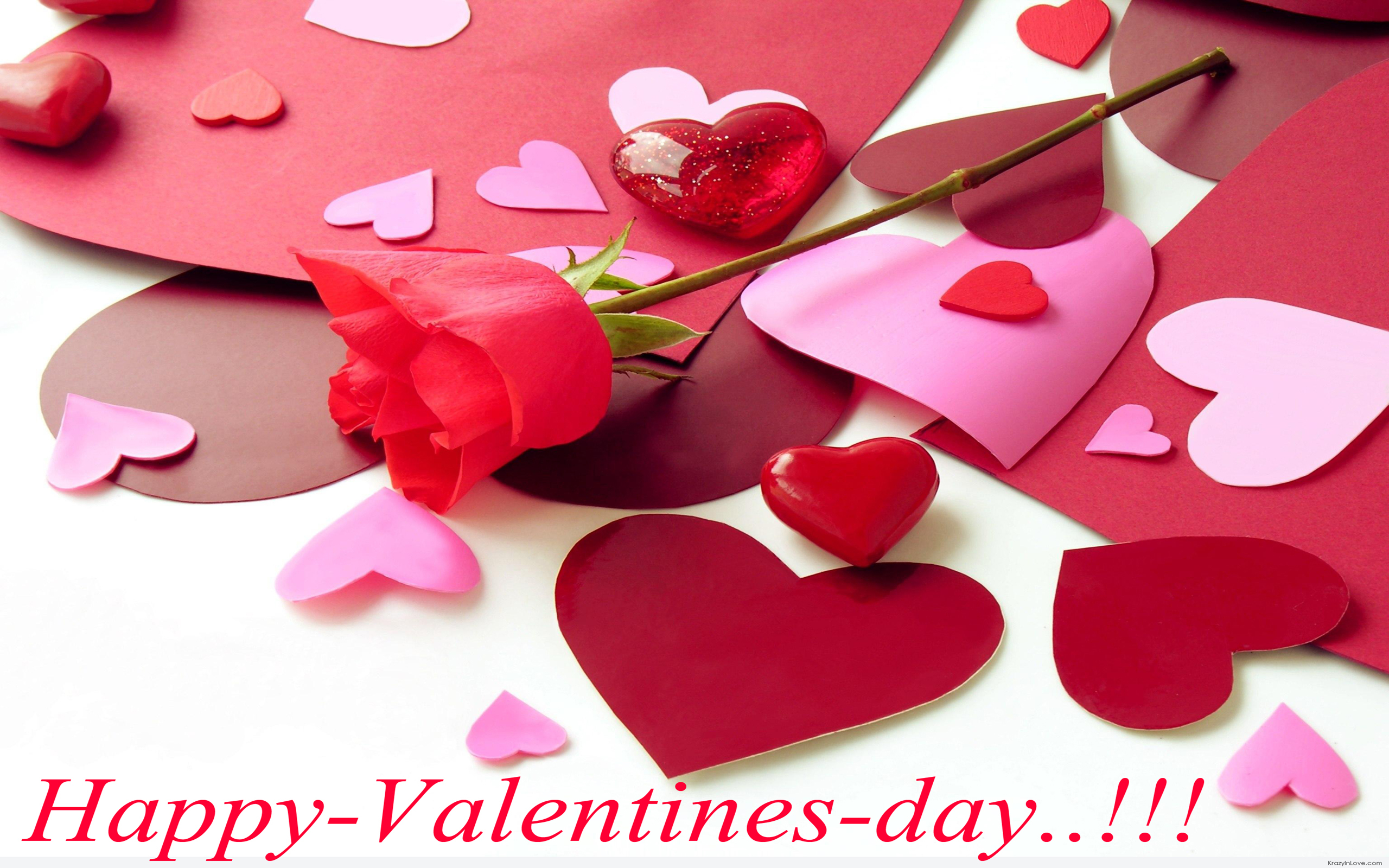 2560x1600 Happy Valentines Day Gifts HD Wallpaper 3D, Desktop