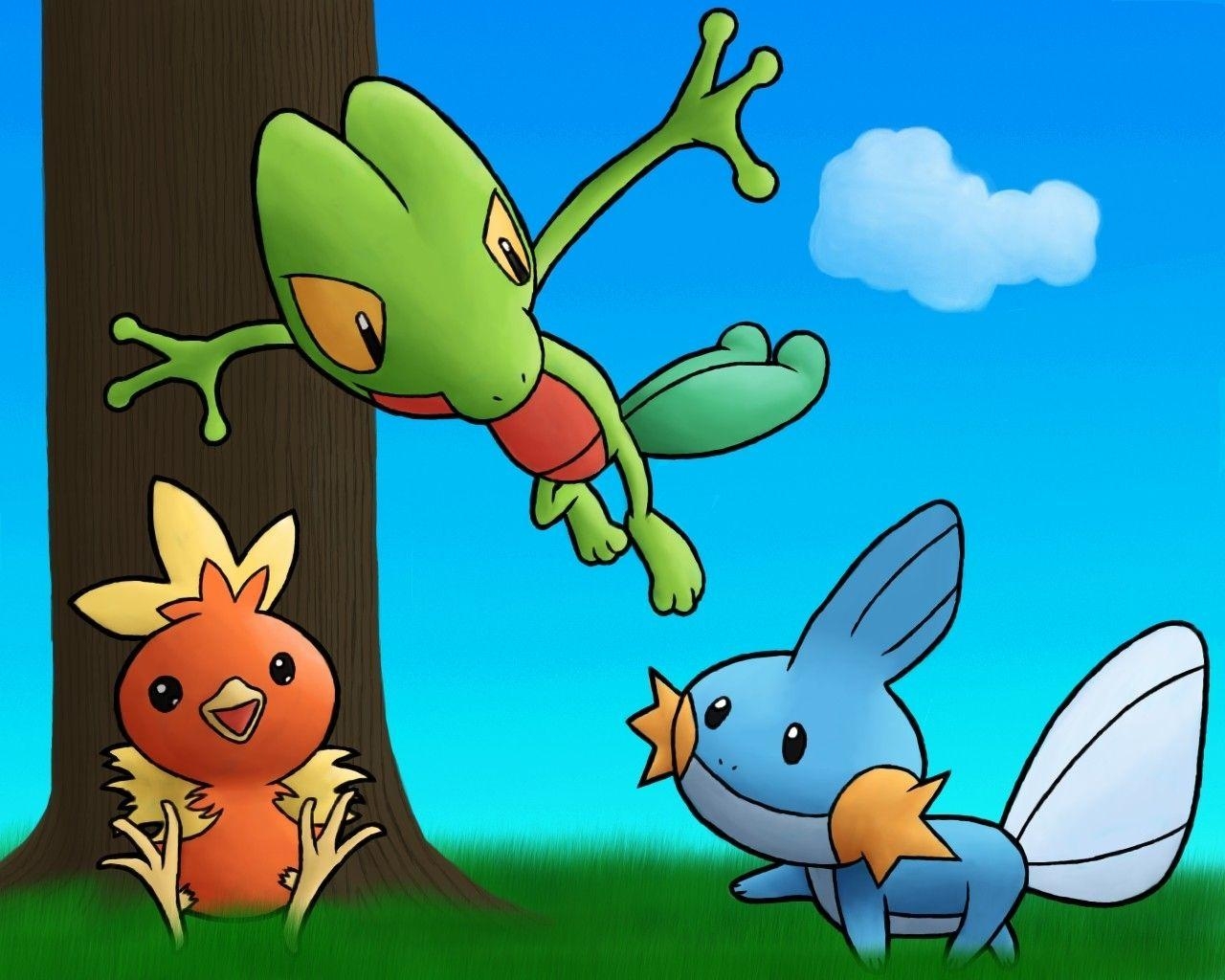 1280x1030 pokemon mudkip treecko torchic  wallpaper High Quality, Desktop