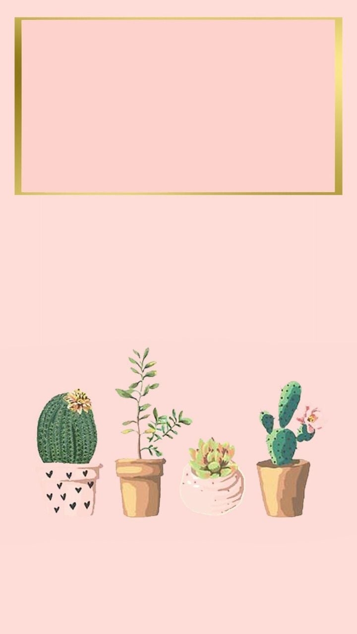 720x1280 Aesthetic Succulents Wallpaper.wallpaperaccess.com, Phone