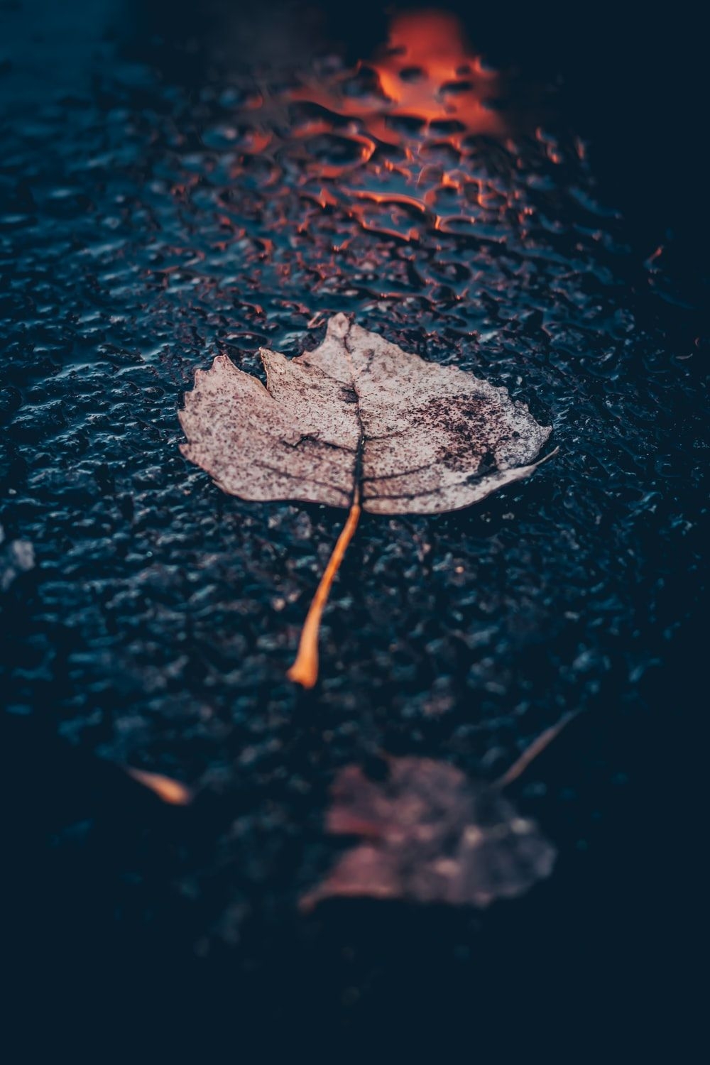 1000x1500 Rain Wallpaper [HD]. Download Free Image & On, Phone