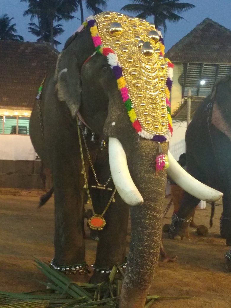 780x1040 Utsavam Puja, Pambadi Rajan is the star attraction, Phone