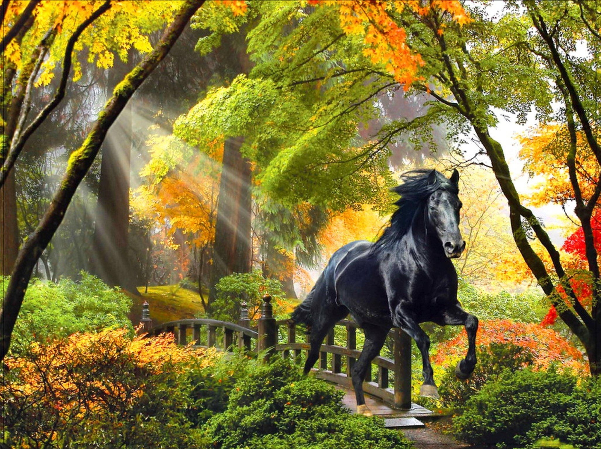 2060x1540 Autumn Horse Wallpaper Free Autumn Horse Background, Desktop