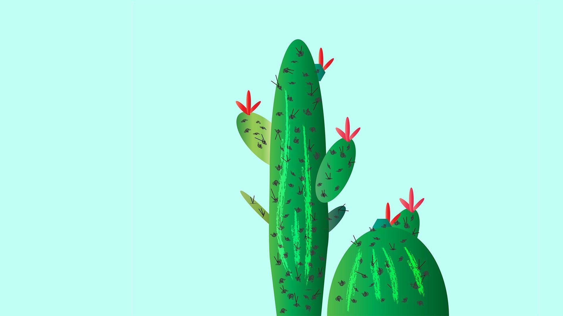 1920x1080 Cactus wallpaperDownload free beautiful wallpaper for desktop, Desktop