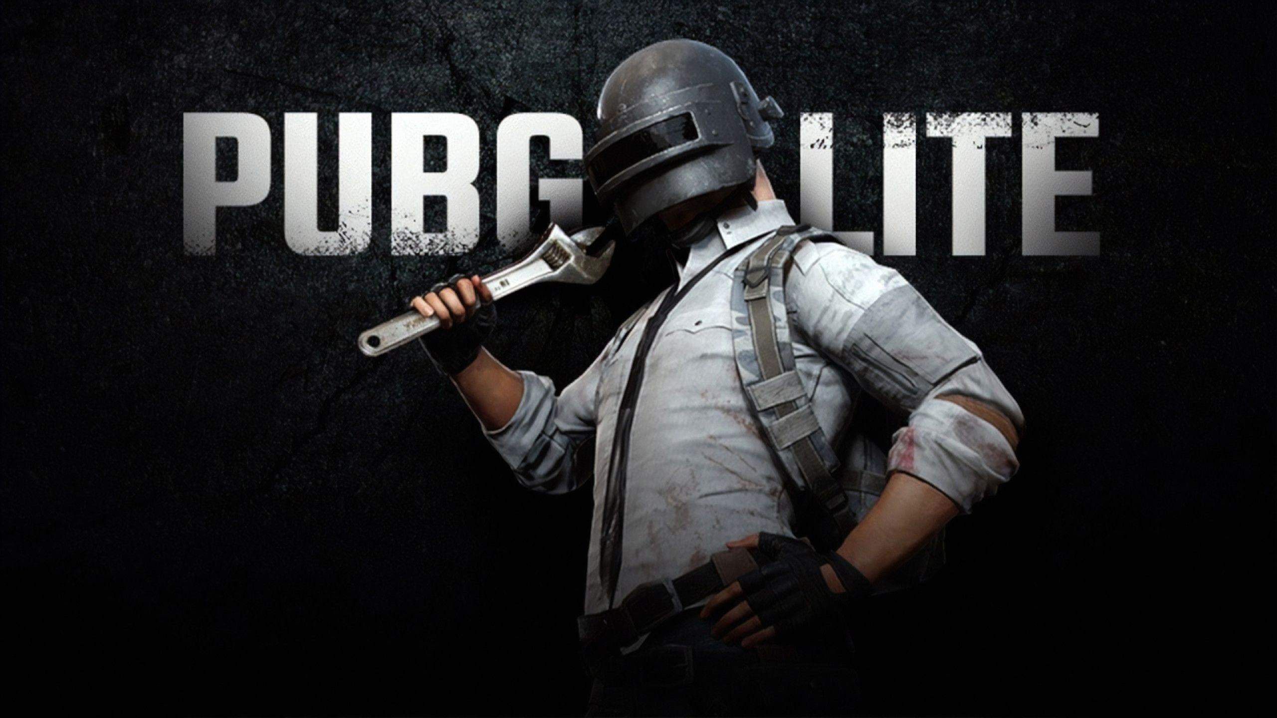 2560x1440 Pubg Lite 1440P Resolution HD 4k Wallpaper, Image, Background, Photo and Picture, Desktop