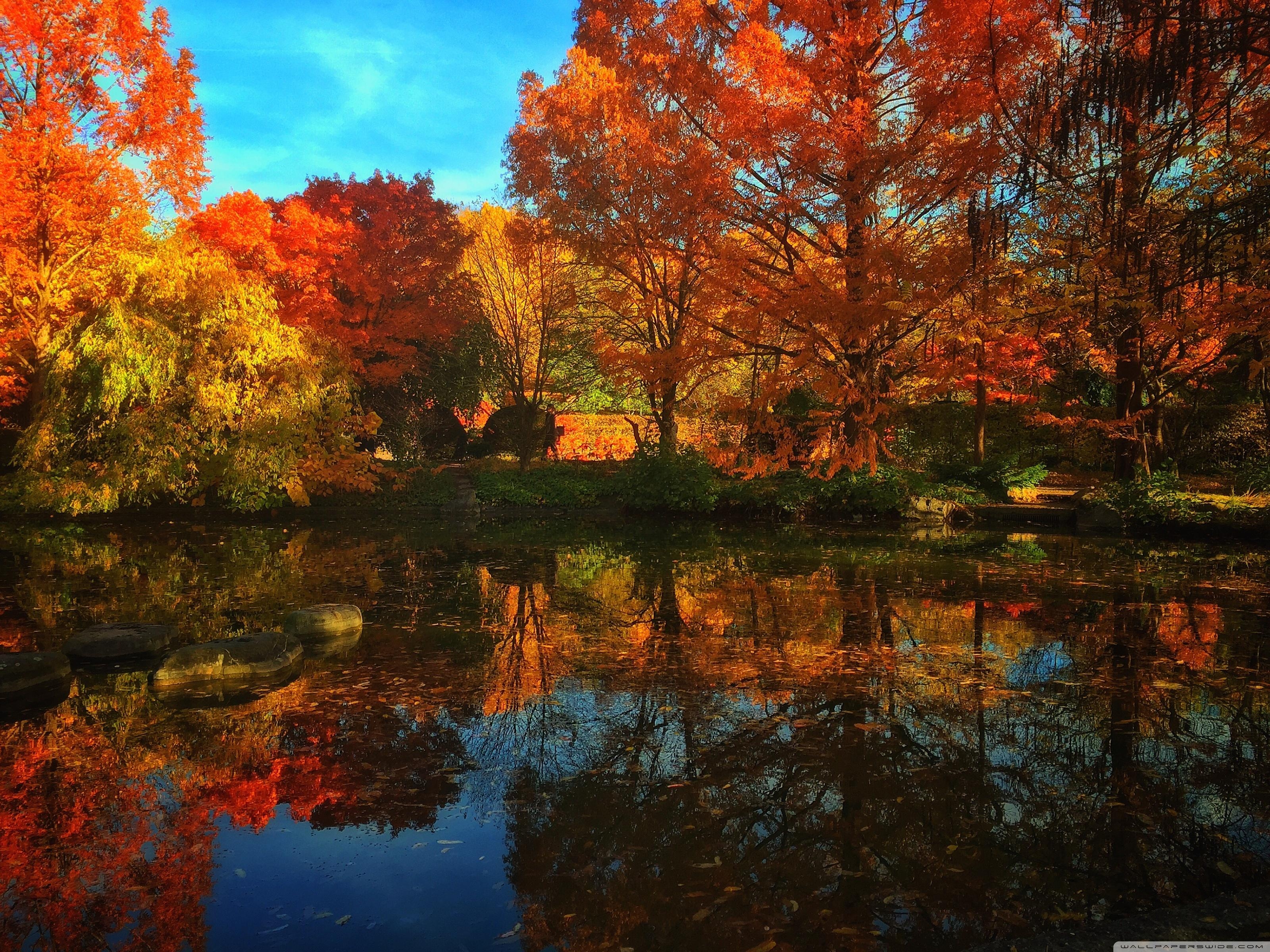 3200x2400 Herbst ❤ 4K HD Desktop Wallpaper for 4K Ultra HD TV • Wide, Desktop