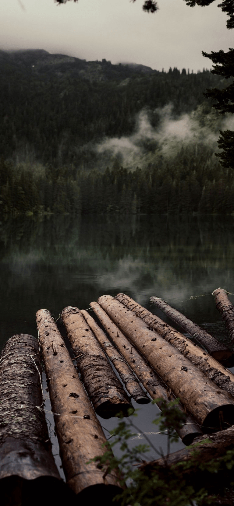 770x1670 Calm Wallpaper ideas. calm, breathe in the air, iphone wallpaper, Phone