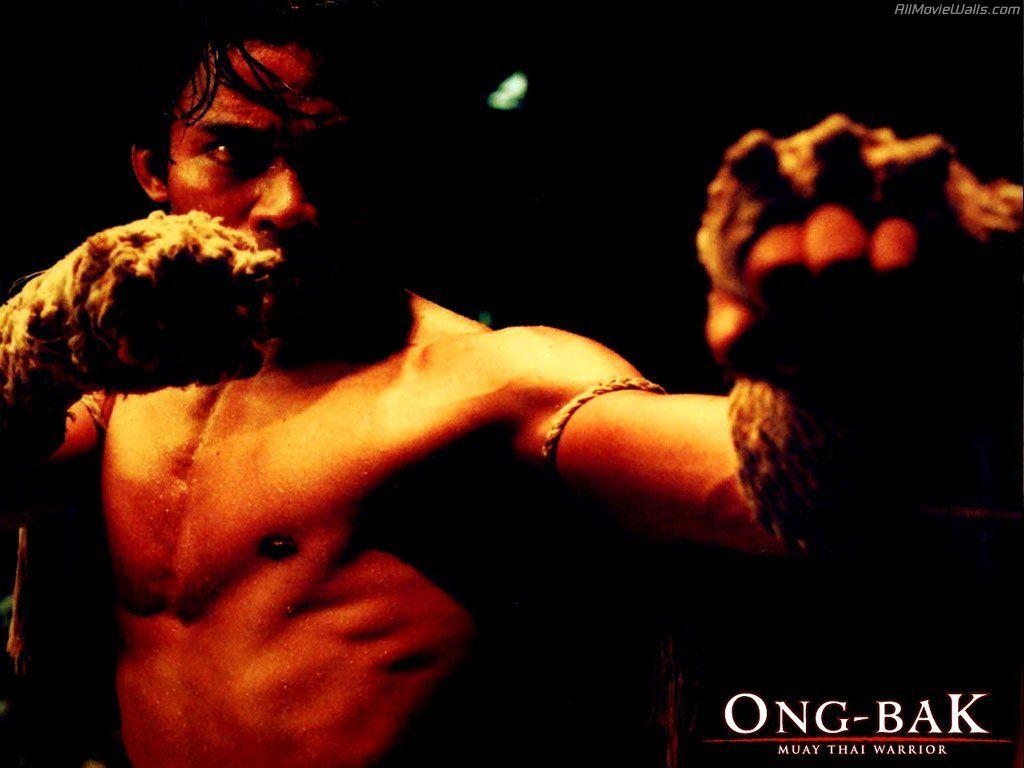 1030x770 Download Ong Bak Wallpaper, Desktop