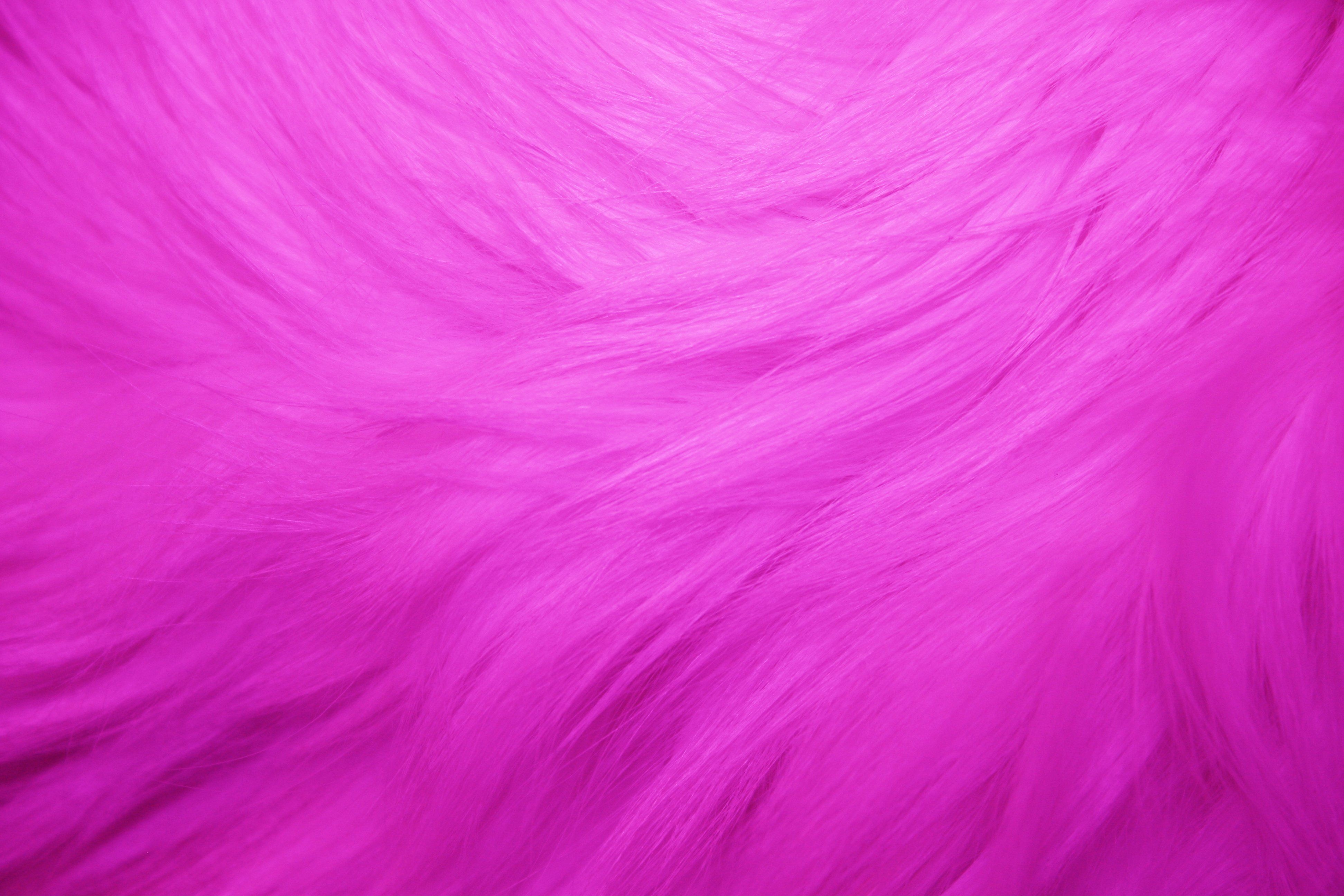 3890x2600 Hot Pink Fur Texture Picture. Free Photograph. Photo Public Domain, Desktop