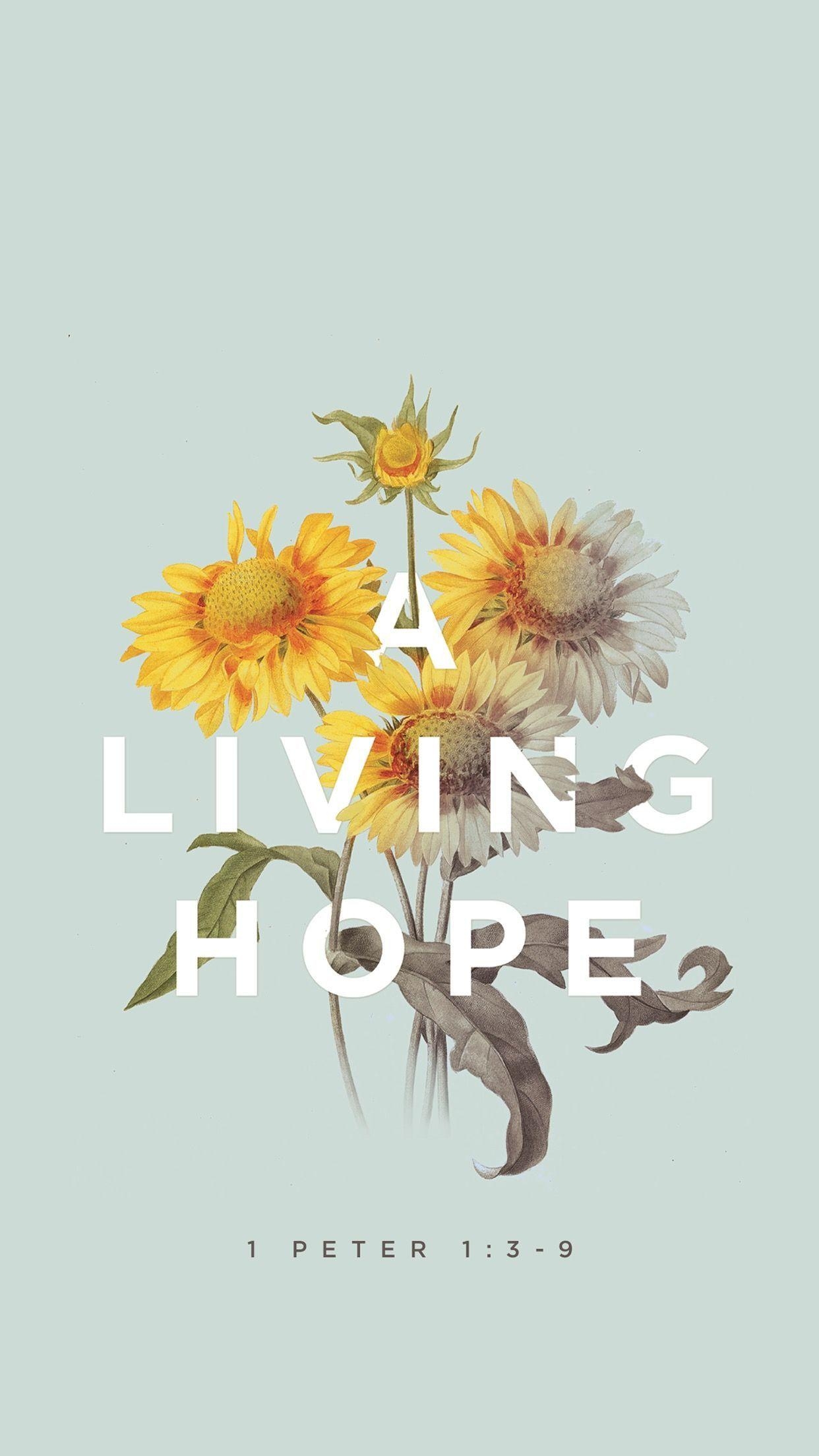 1250x2210 A living hope // mobile bible verse wallpaper by Godsfingerprints.co, Phone