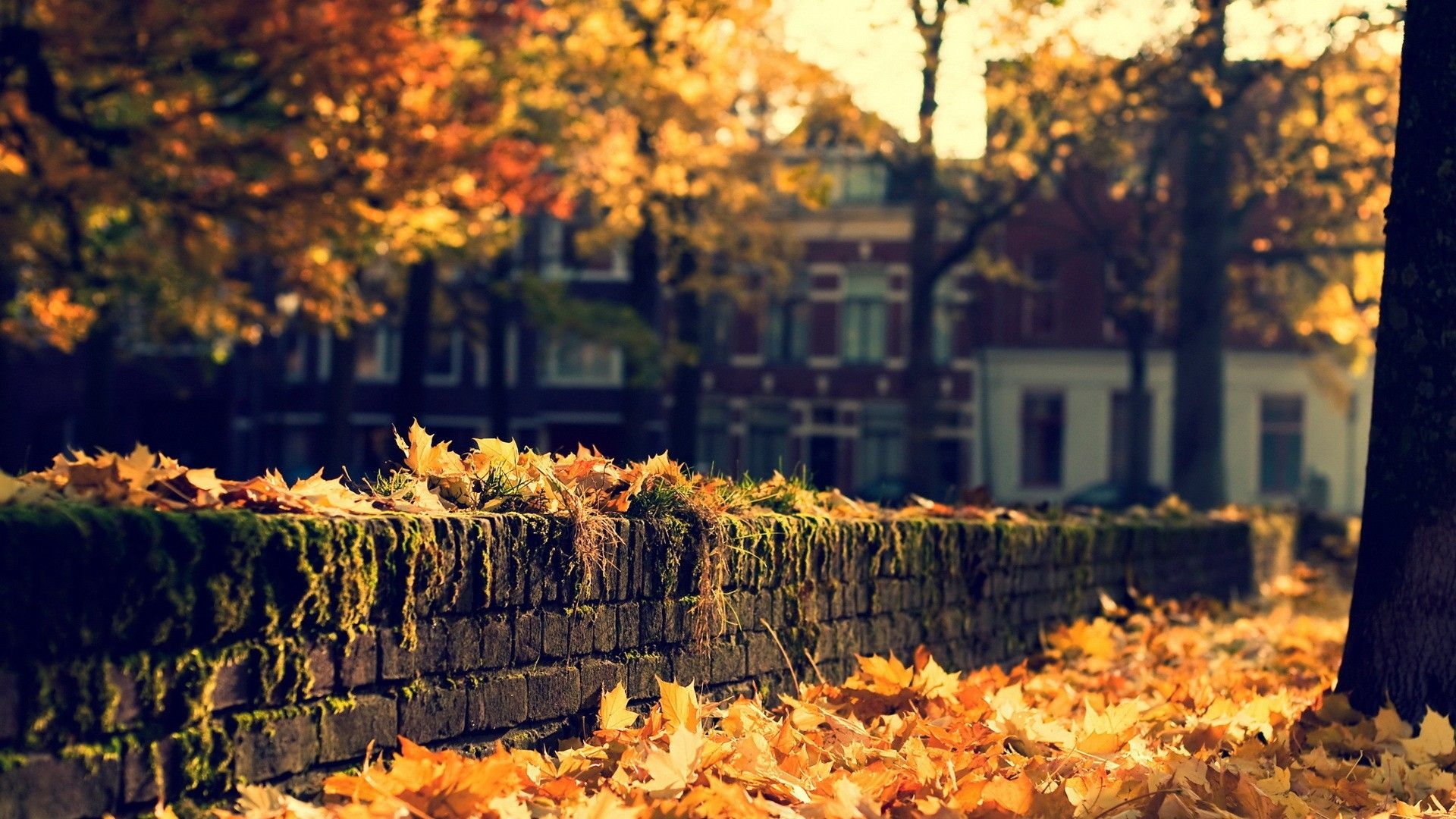 1920x1080 Coffee in the Fall Wallpaper. Fall Wallpaper, Beautiful Waterfall Wallpaper and Cute Fall Wallpaper, Desktop