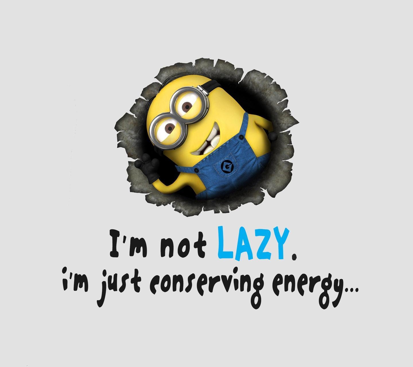 1440x1280 Download Not lazy just conserving energy, Desktop