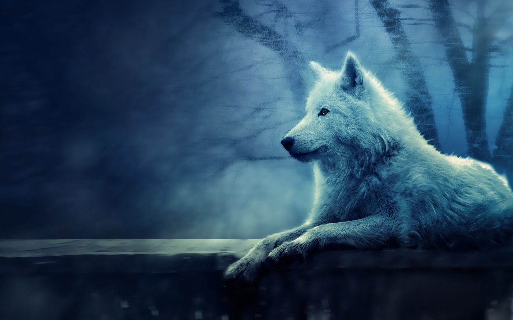 1680x1050 Blue Wolf Wallpaper Free Blue Wolf Background, Desktop