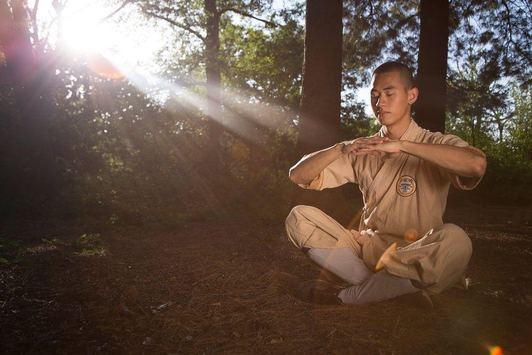 1100x730 Shaolin Kung Fu Actor Tien Hoang in Bostal Woods, Desktop