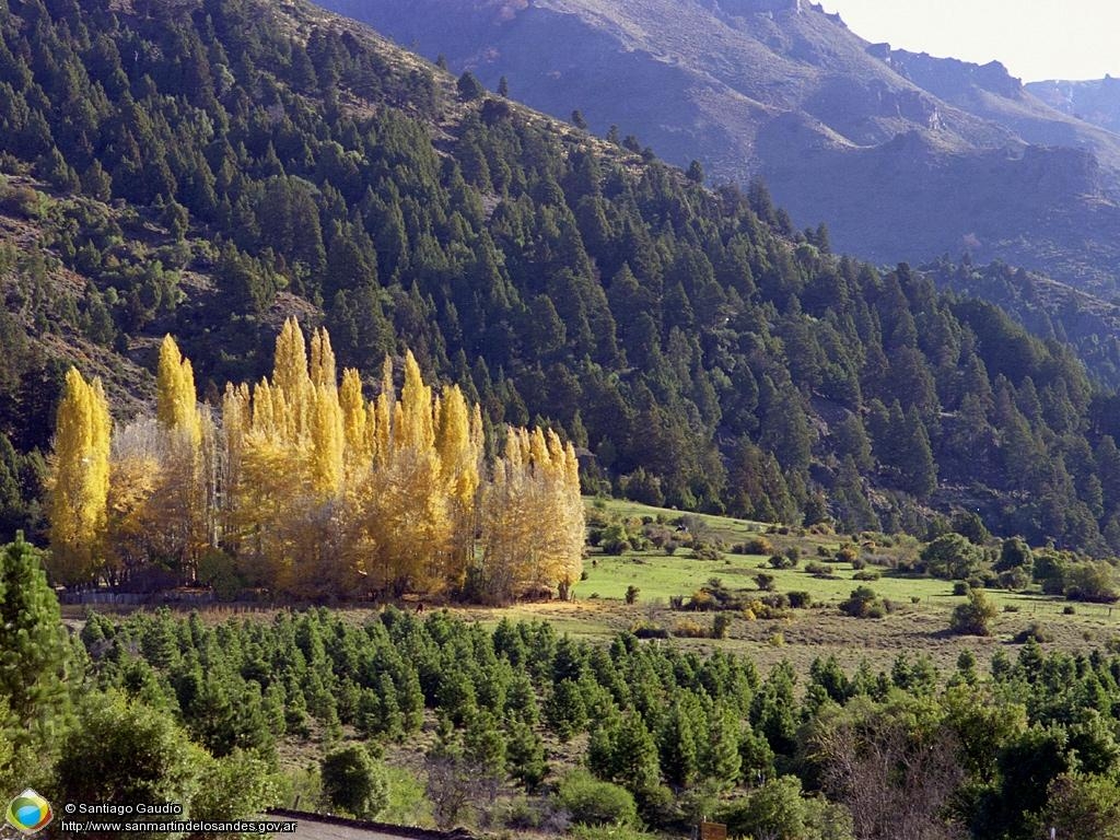 1030x770 Otoño en Filo Hua Hum Martin de los Andes, Desktop