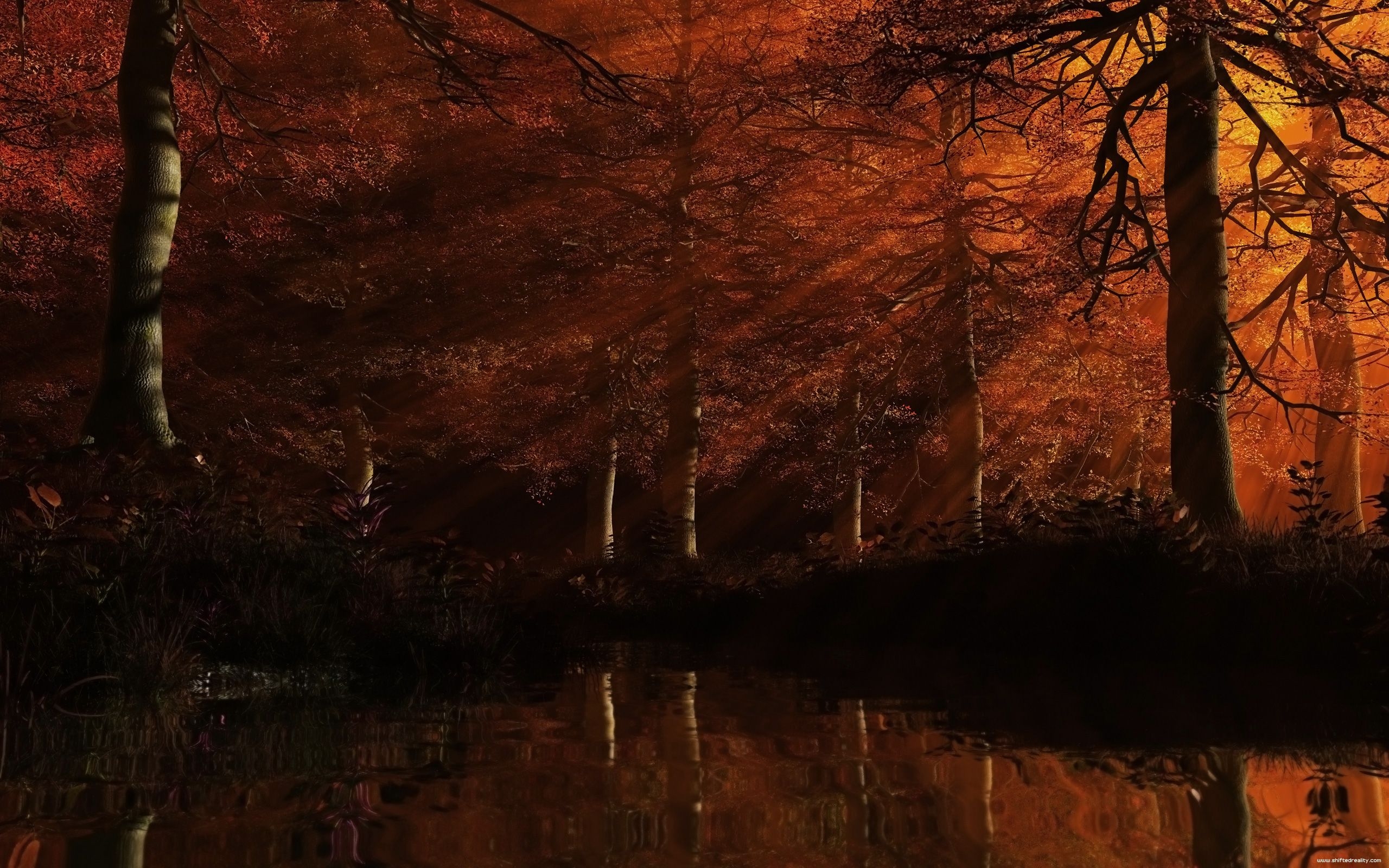 2560x1600 Free download 3D autumn desktop wallpaper in hdcom [] for your Desktop, Mobile & Tablet. Explore 3D Fall WallpaperD Wallpaper for Windows Free 3D Wallpaper, 3D Wallpaper for Walls, Desktop