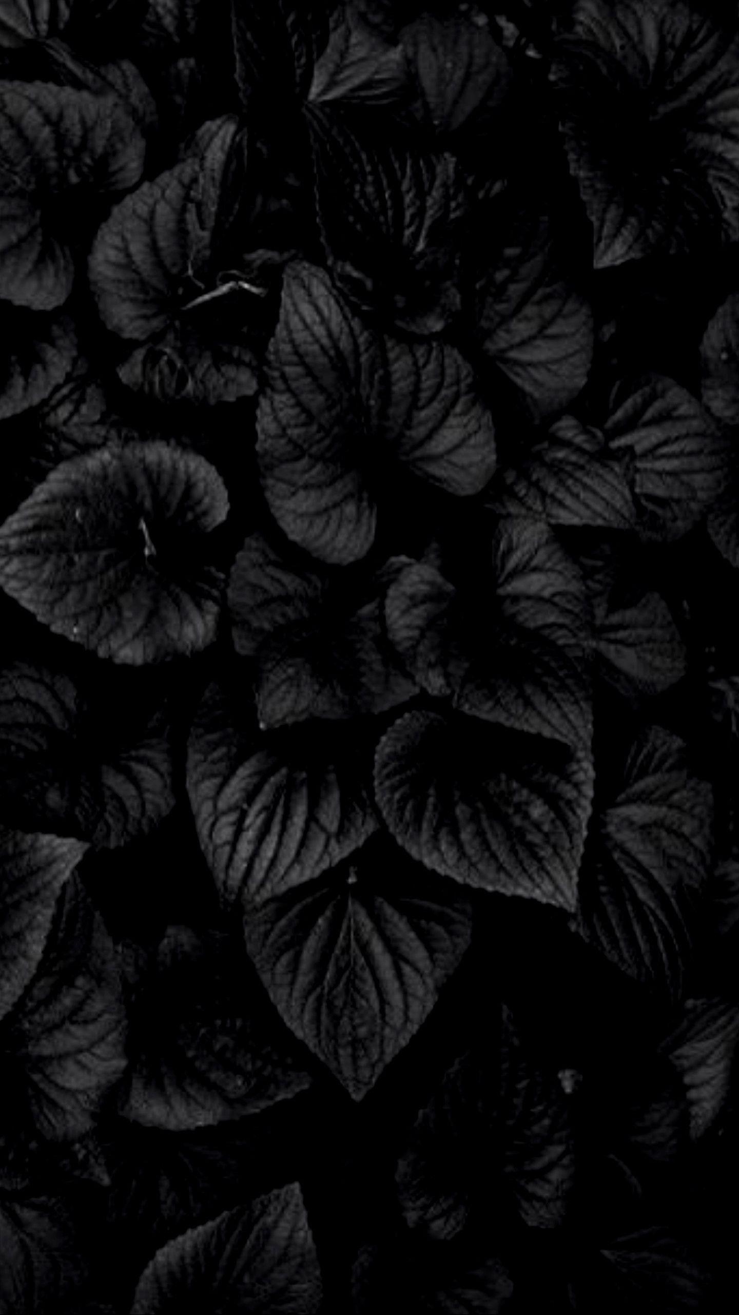 1440x2560 Dark Flower Wallpaper, Phone