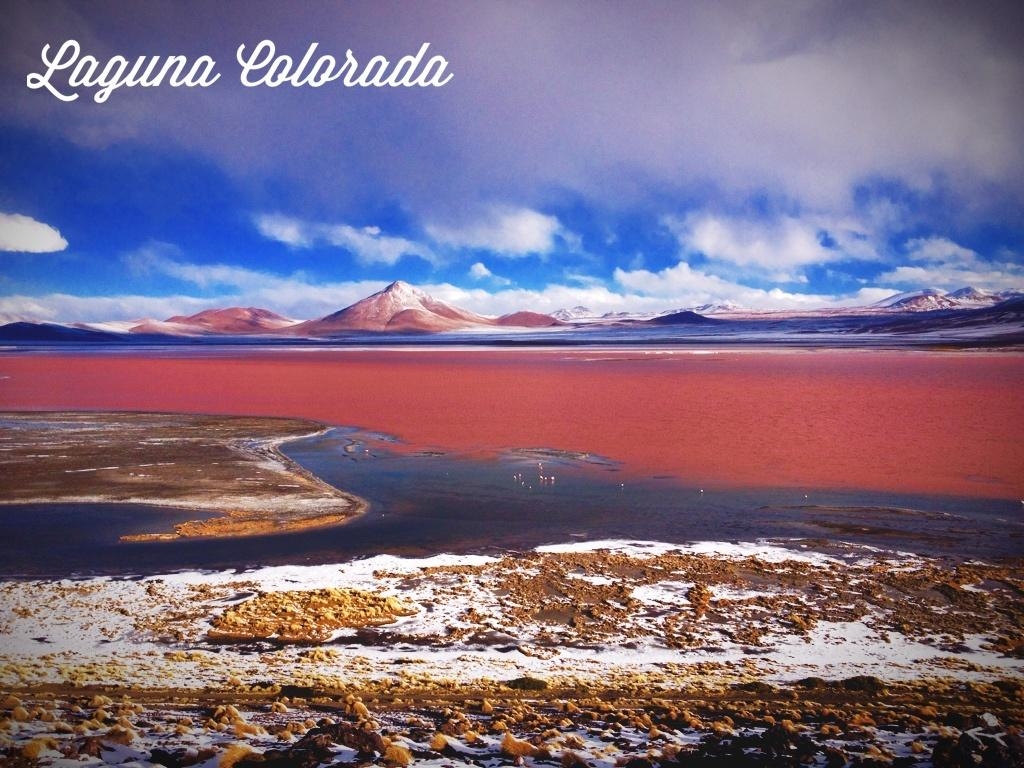 1030x770 Laguna Colorada Reviews, Bolivia, Desktop