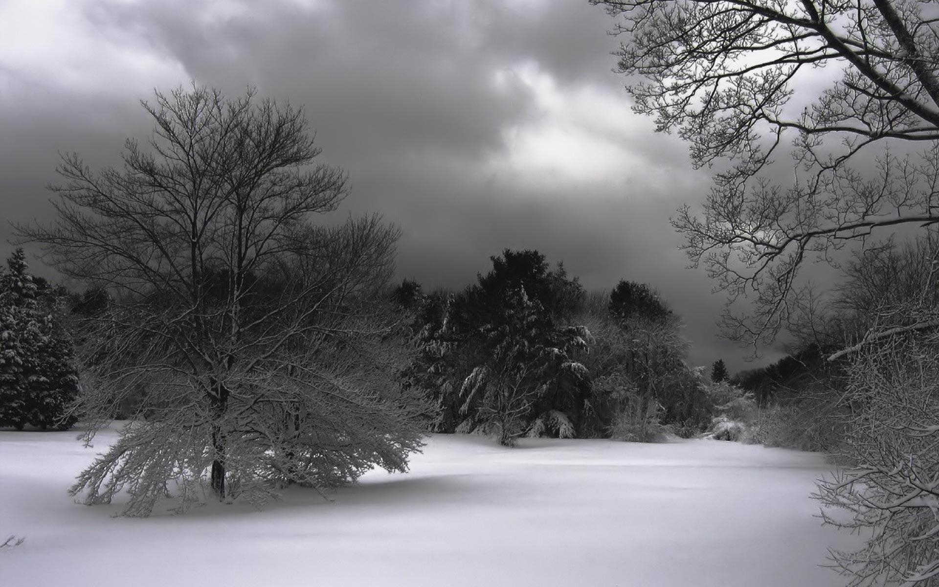 1920x1200 Black Winter Wallpaper Free Black Winter Background, Desktop