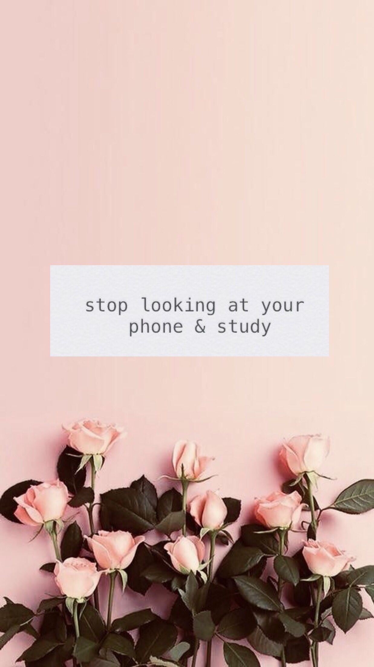 1240x2210 Study Motivation Wallpaper. Study, Phone